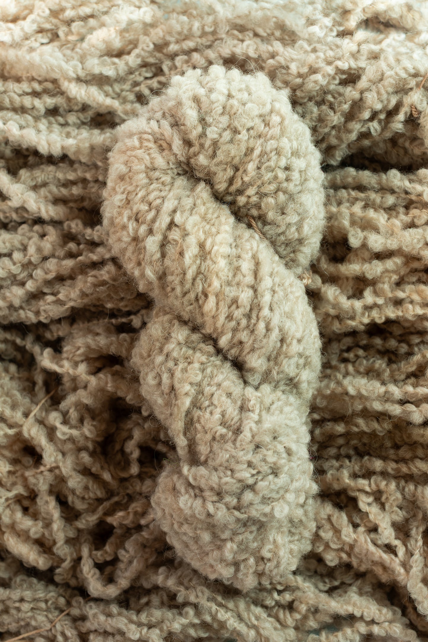 Teddy Boucle Dyed-to-Order