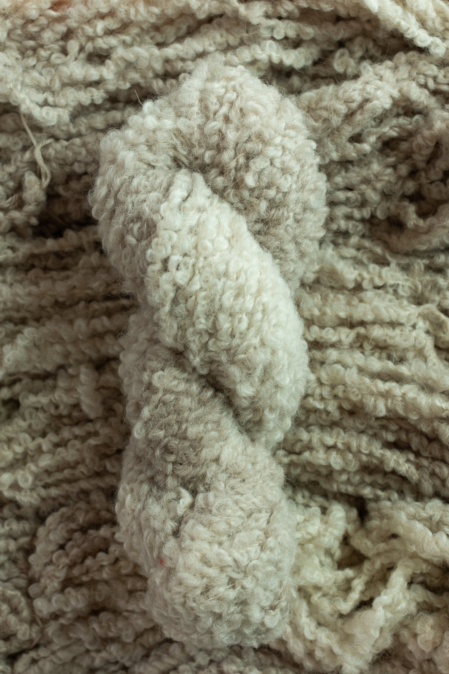 Teddy Boucle Dyed-to-Order