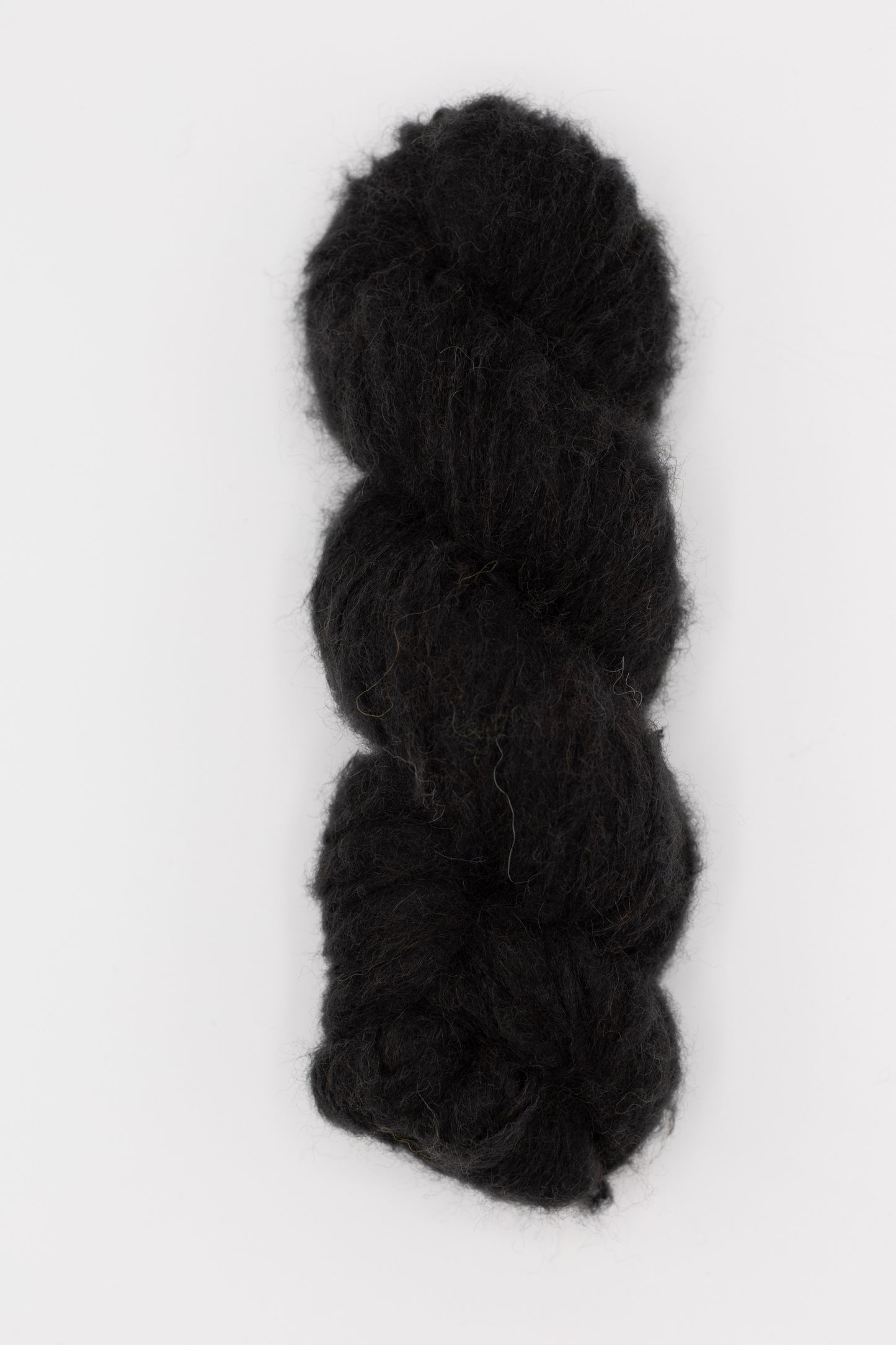 Big Birdie - blackbird