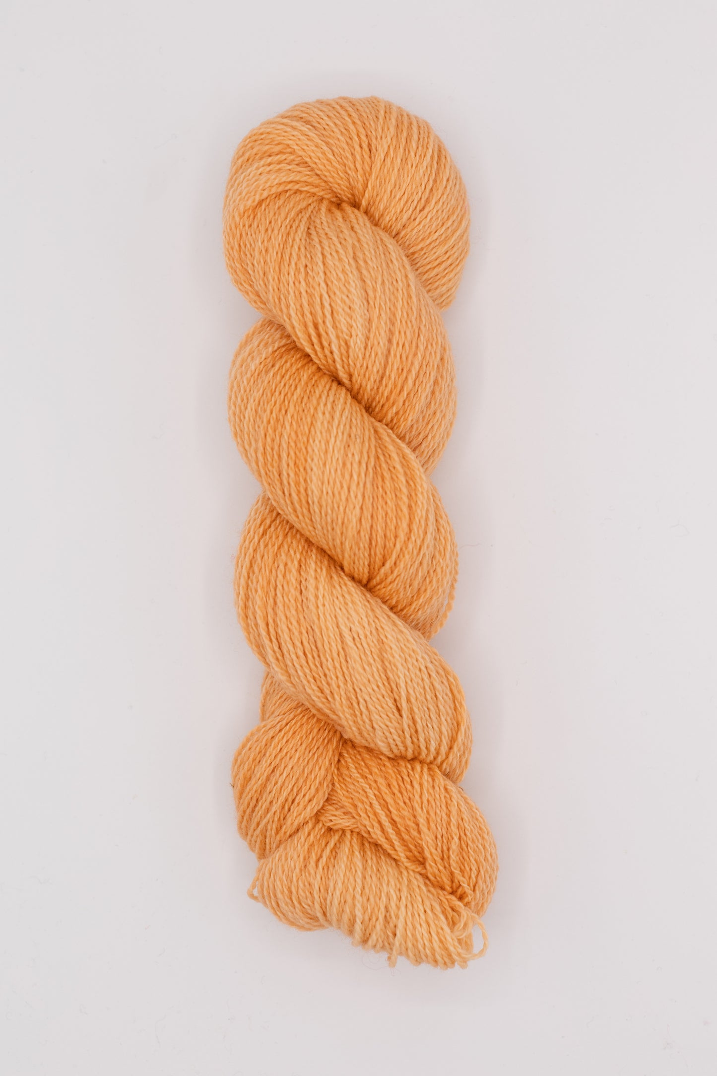 Shed - ginger peachy