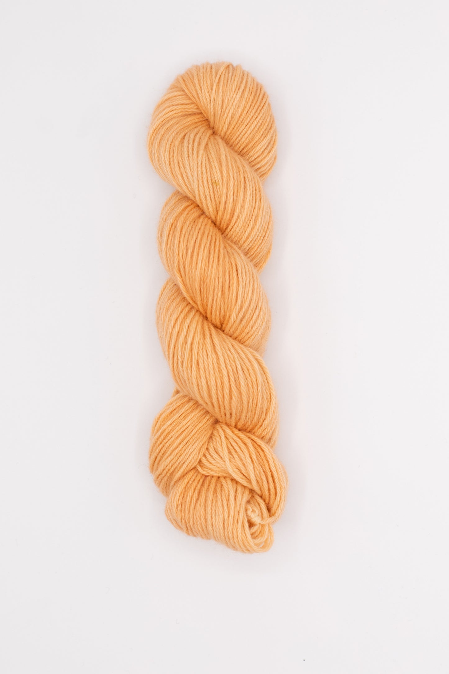 Tod - ginger peachy