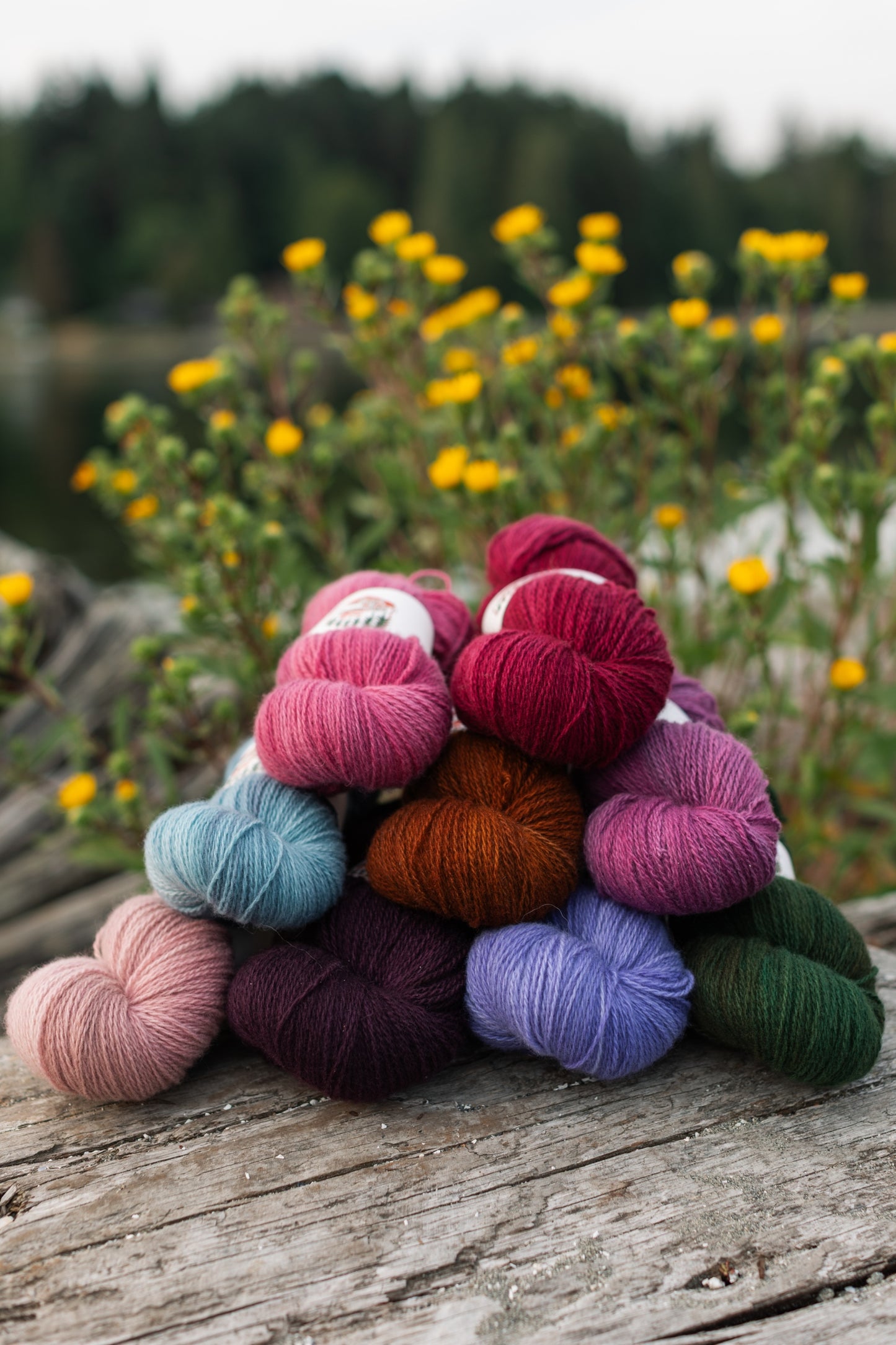 Ooey Gooey Dyed-to-Order