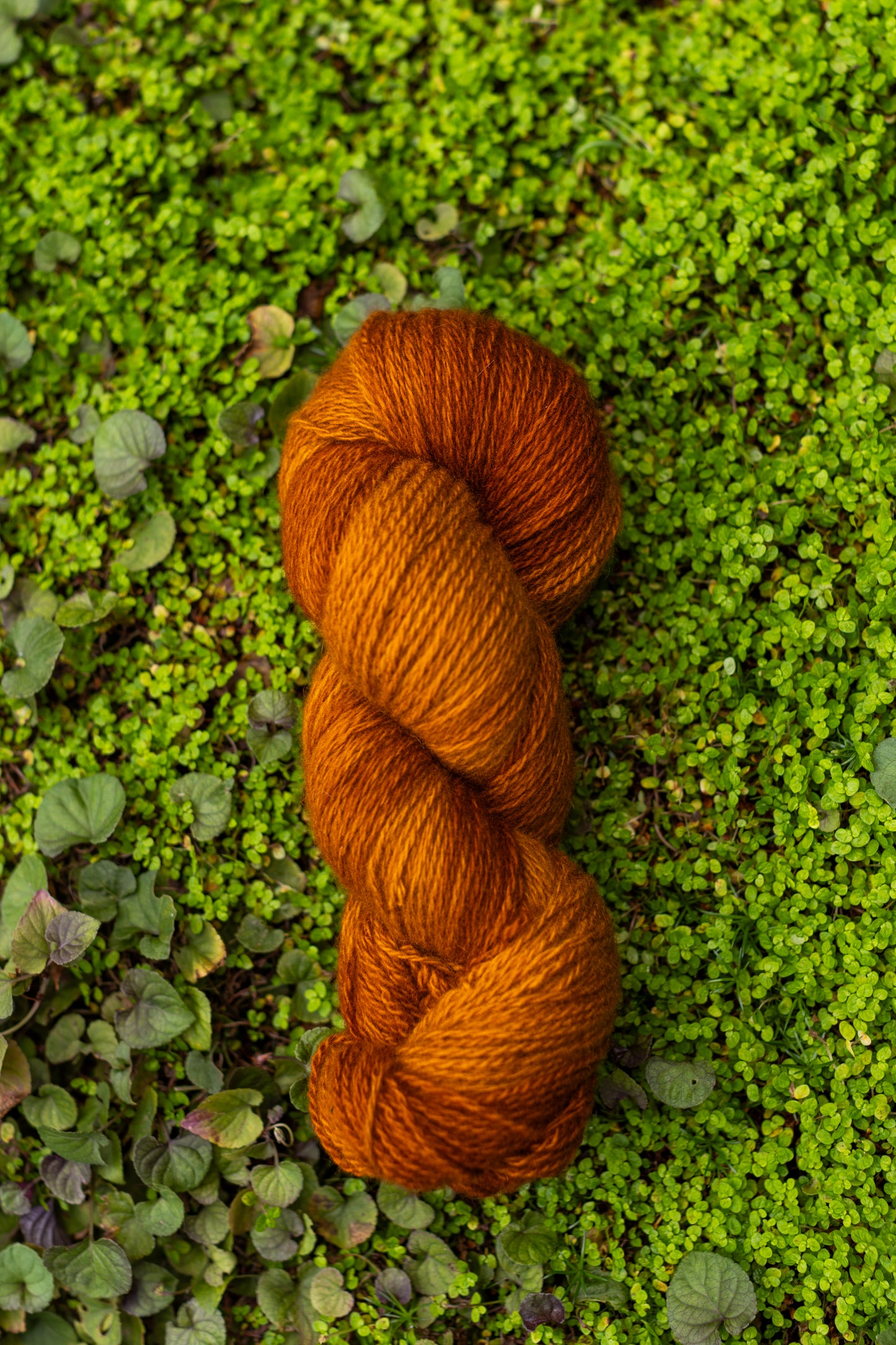 Crumpet Cardigan Kits