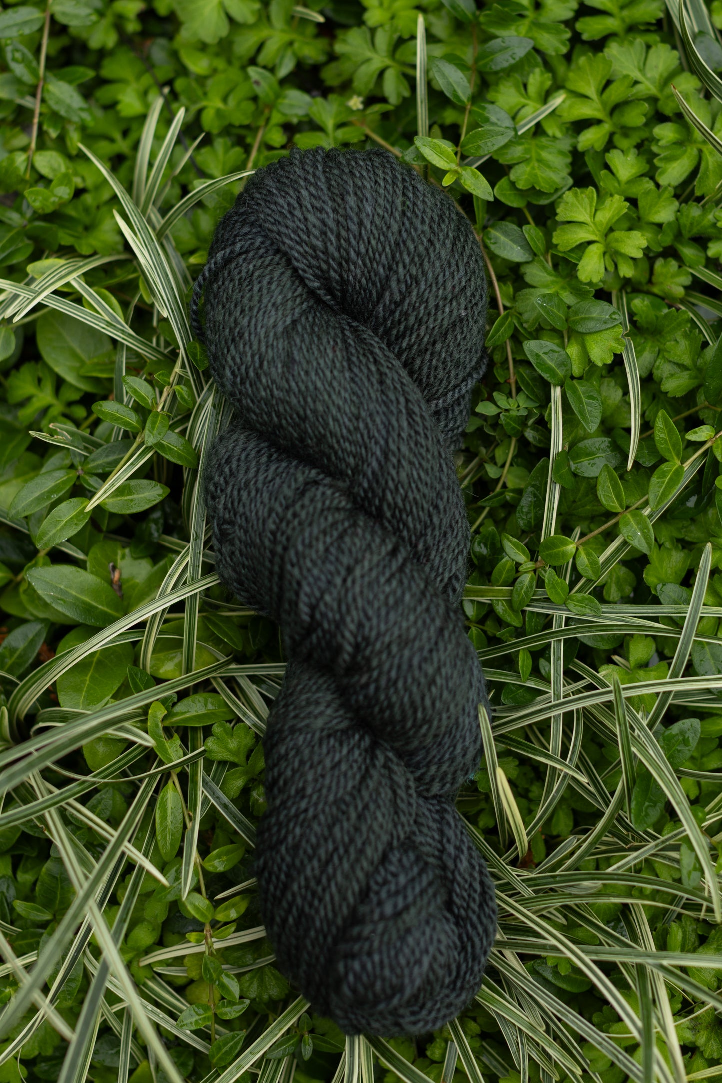 10/10 Weekend Dyed-to-Order