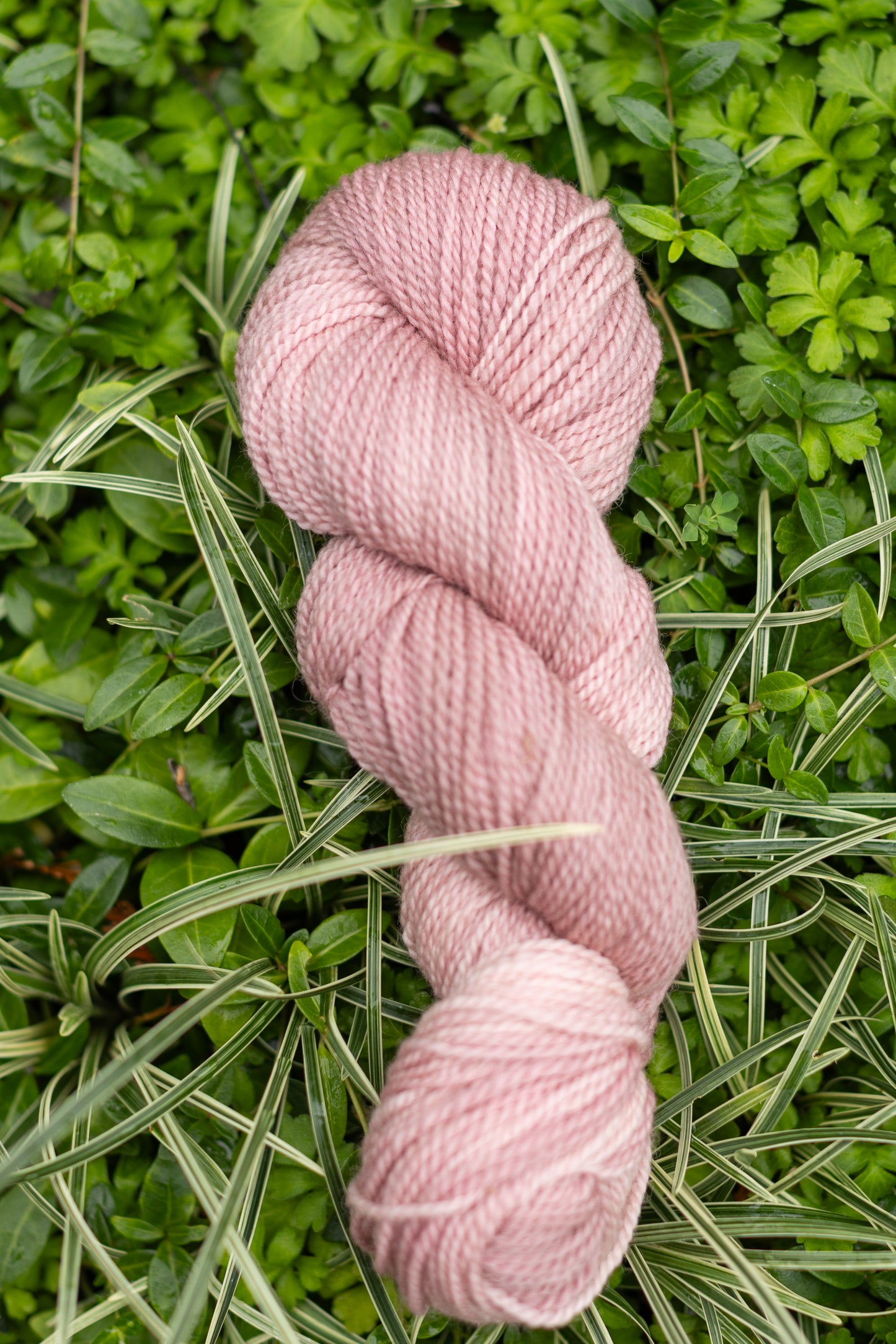 10/10 Weekend Dyed-to-Order