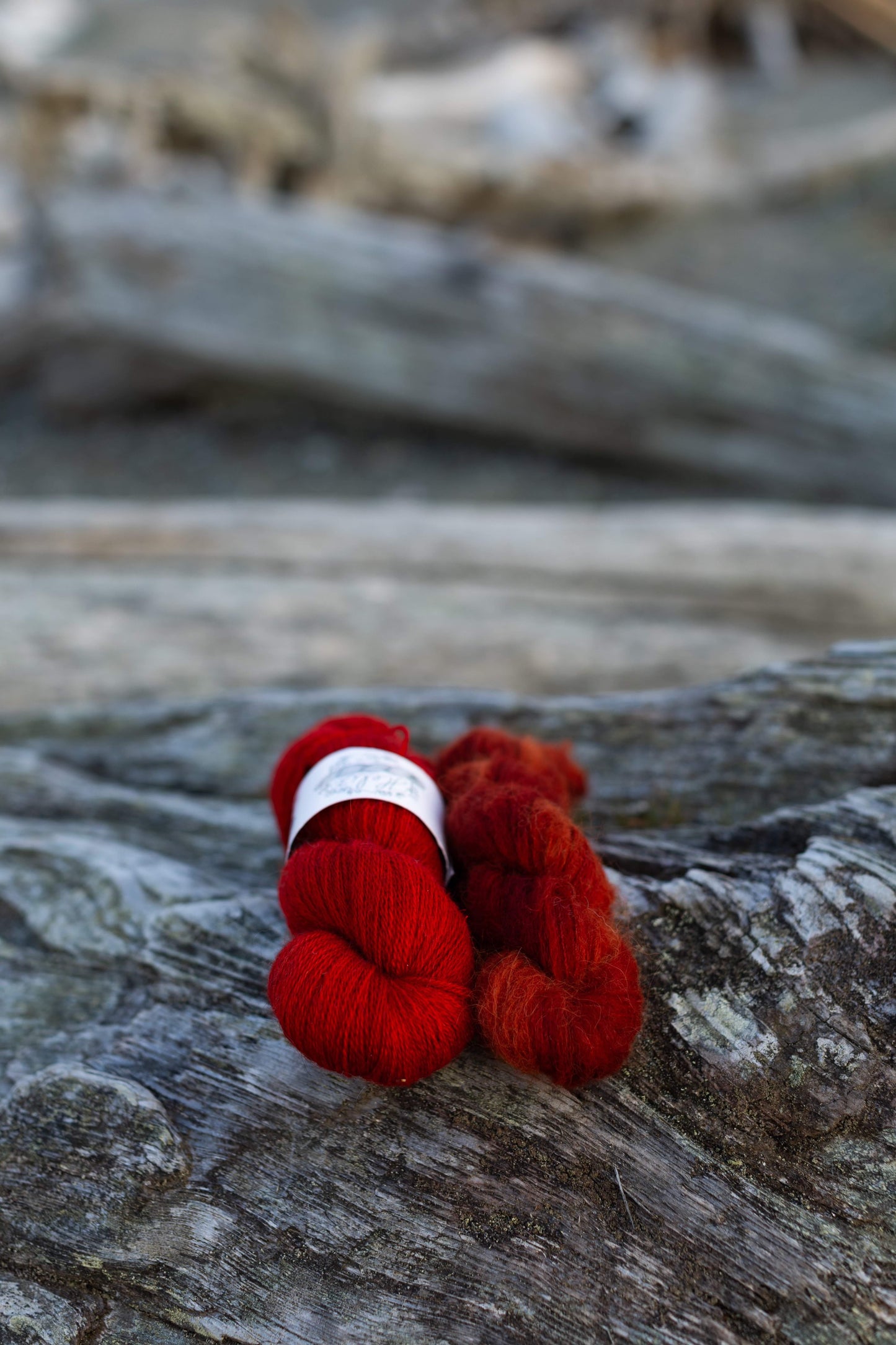 4/26 Dyed-to-Order