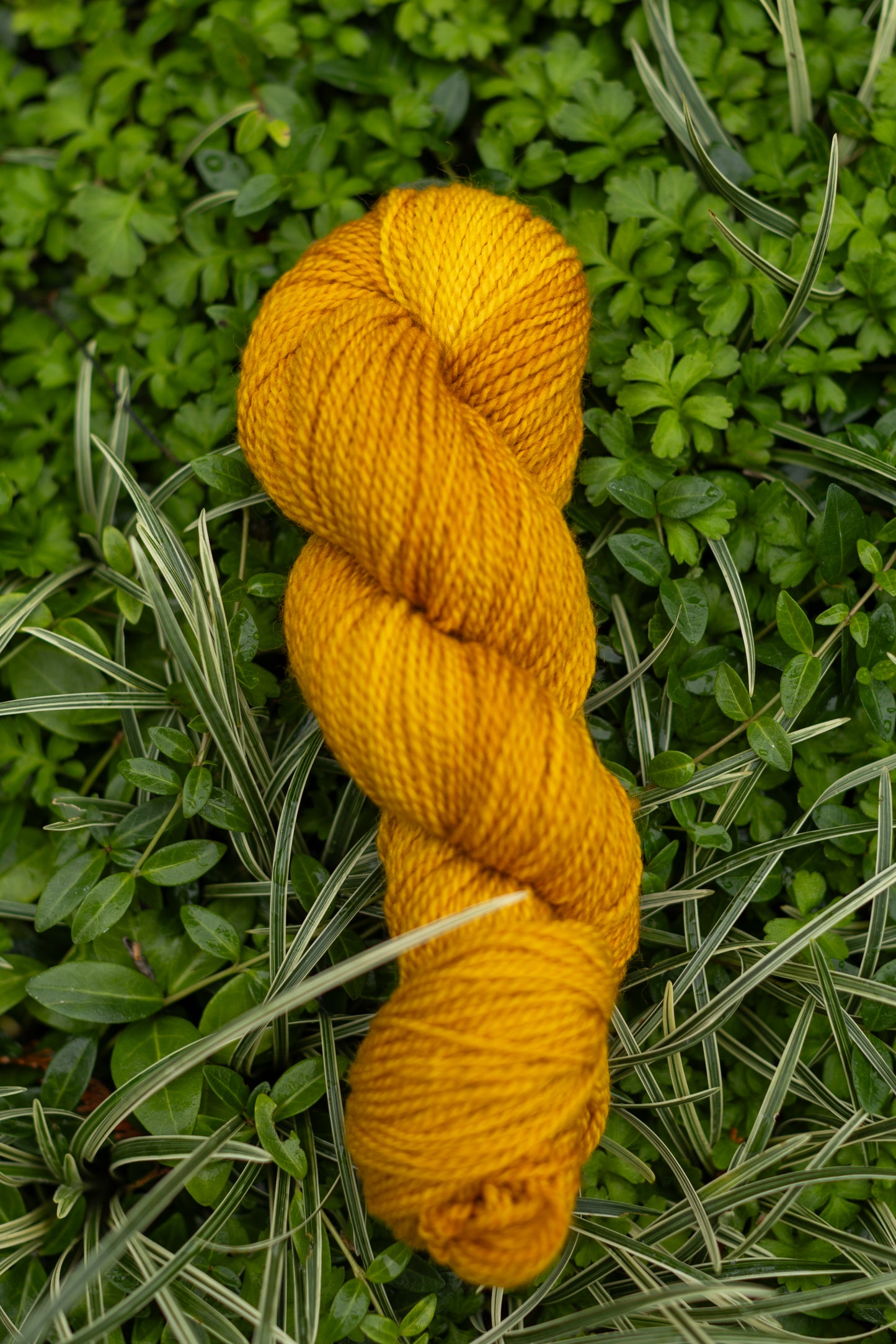 10/10 Weekend Dyed-to-Order