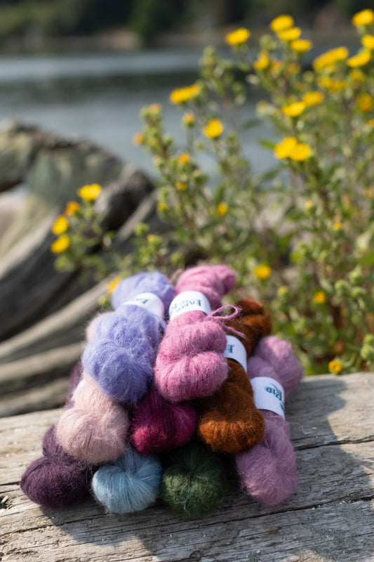 All About Birdie - The Lamb & Kid's Best Seller!