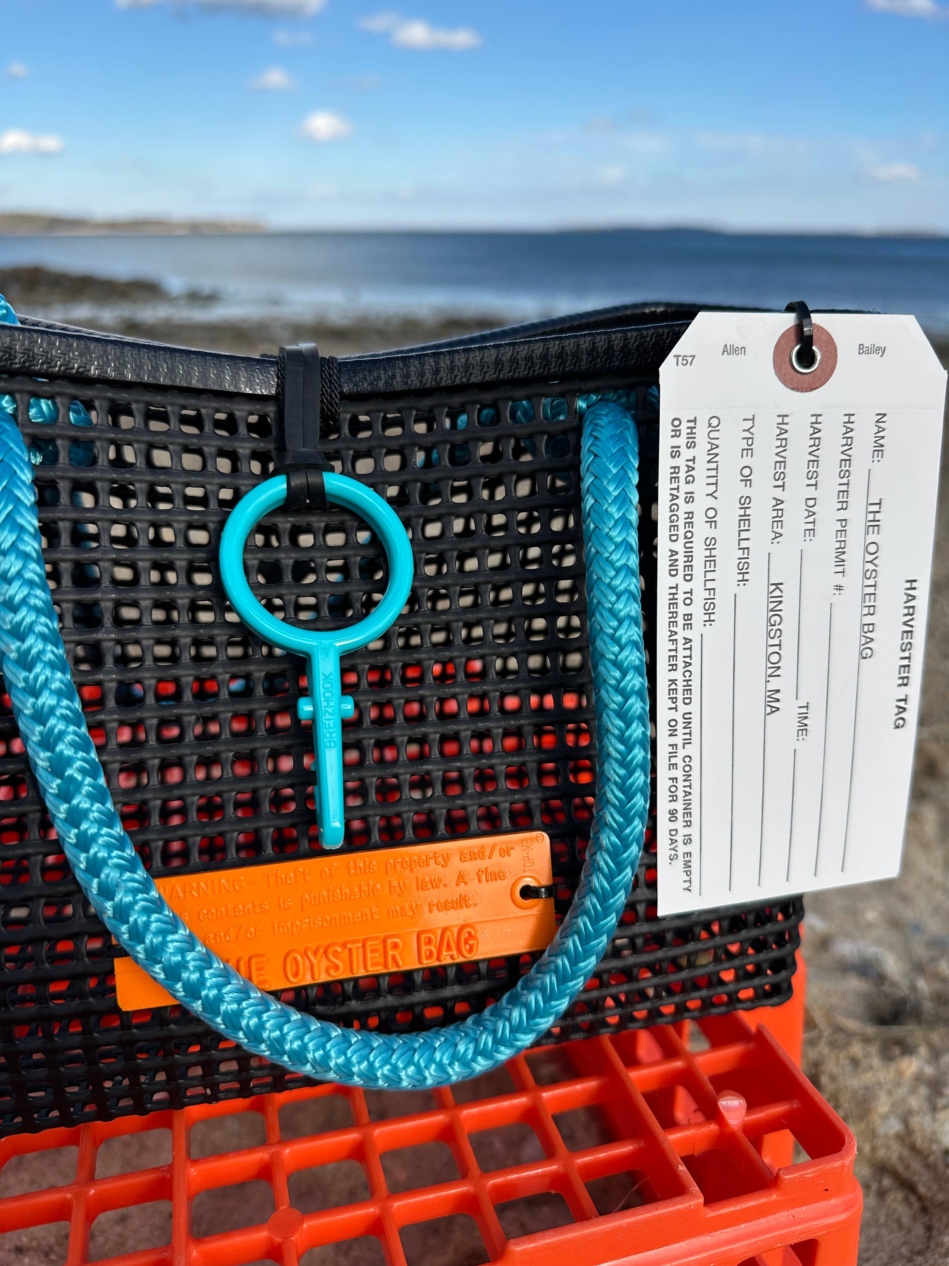 Mini Market ~ Aqua Handle