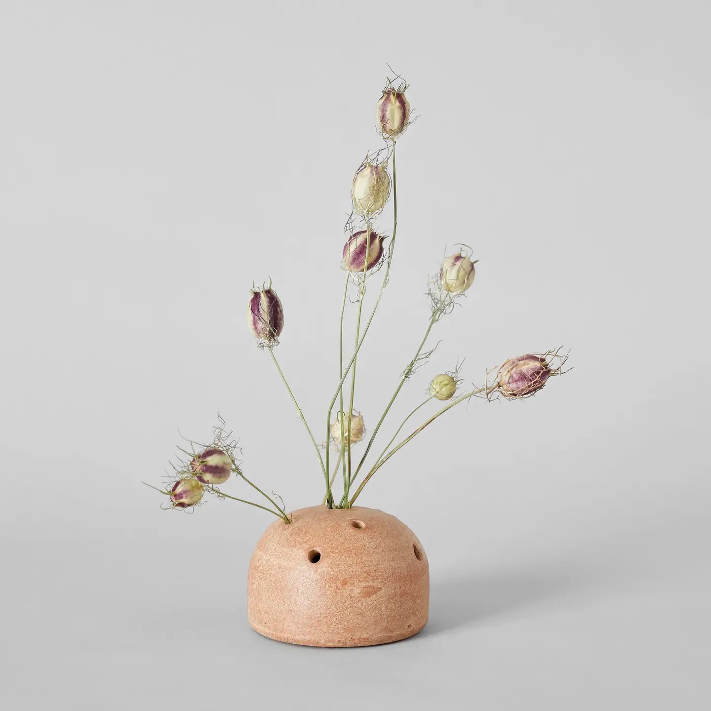 Terra Cotta Frog Vase