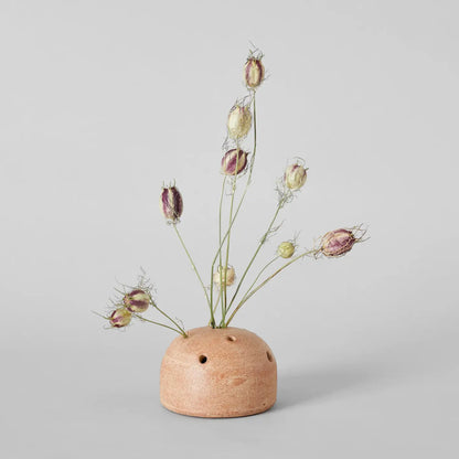 Terra Cotta Frog Vase