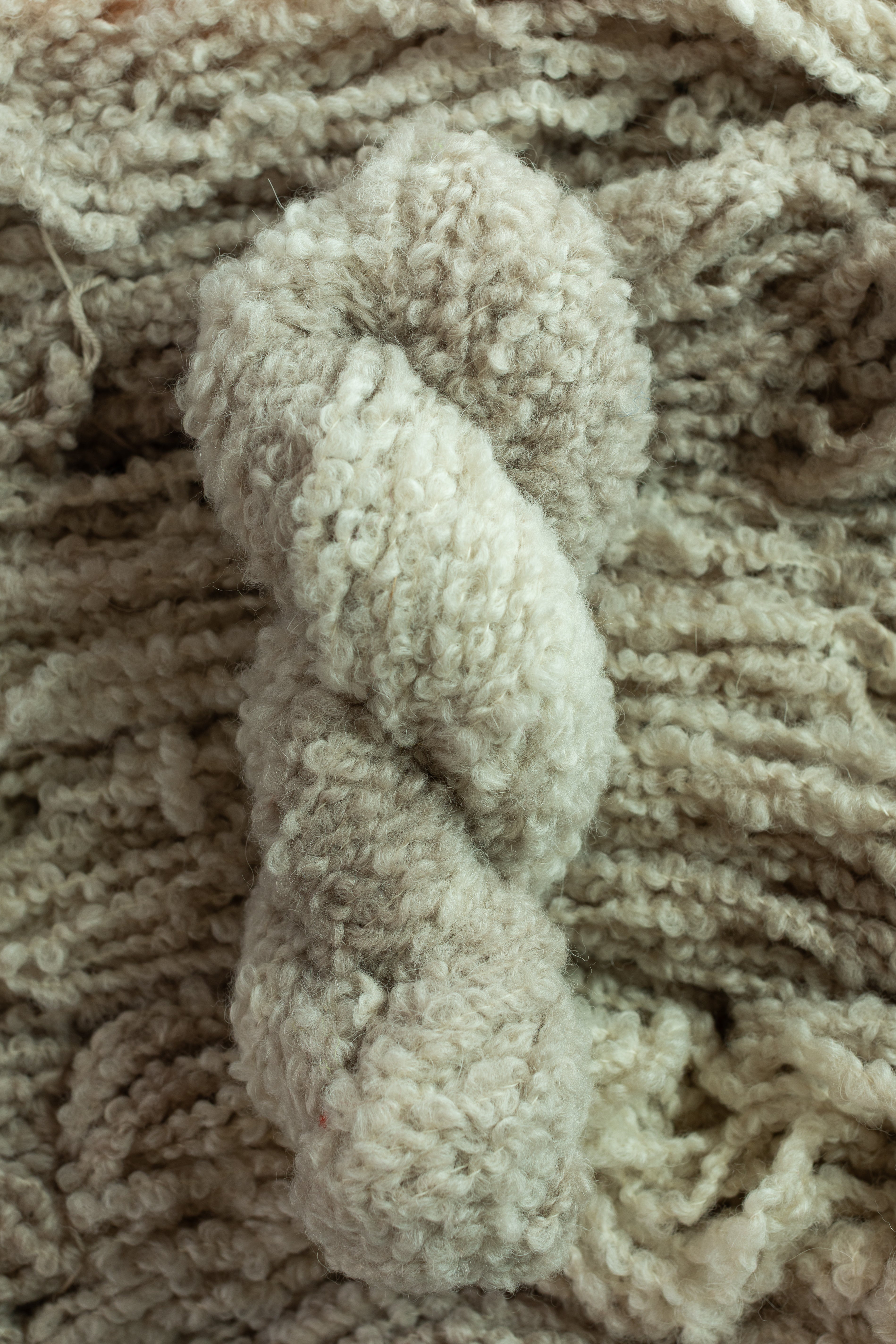 Teddy Boucle Dyed-to-Order