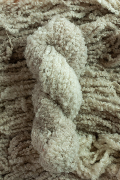 Teddy Boucle Dyed-to-Order