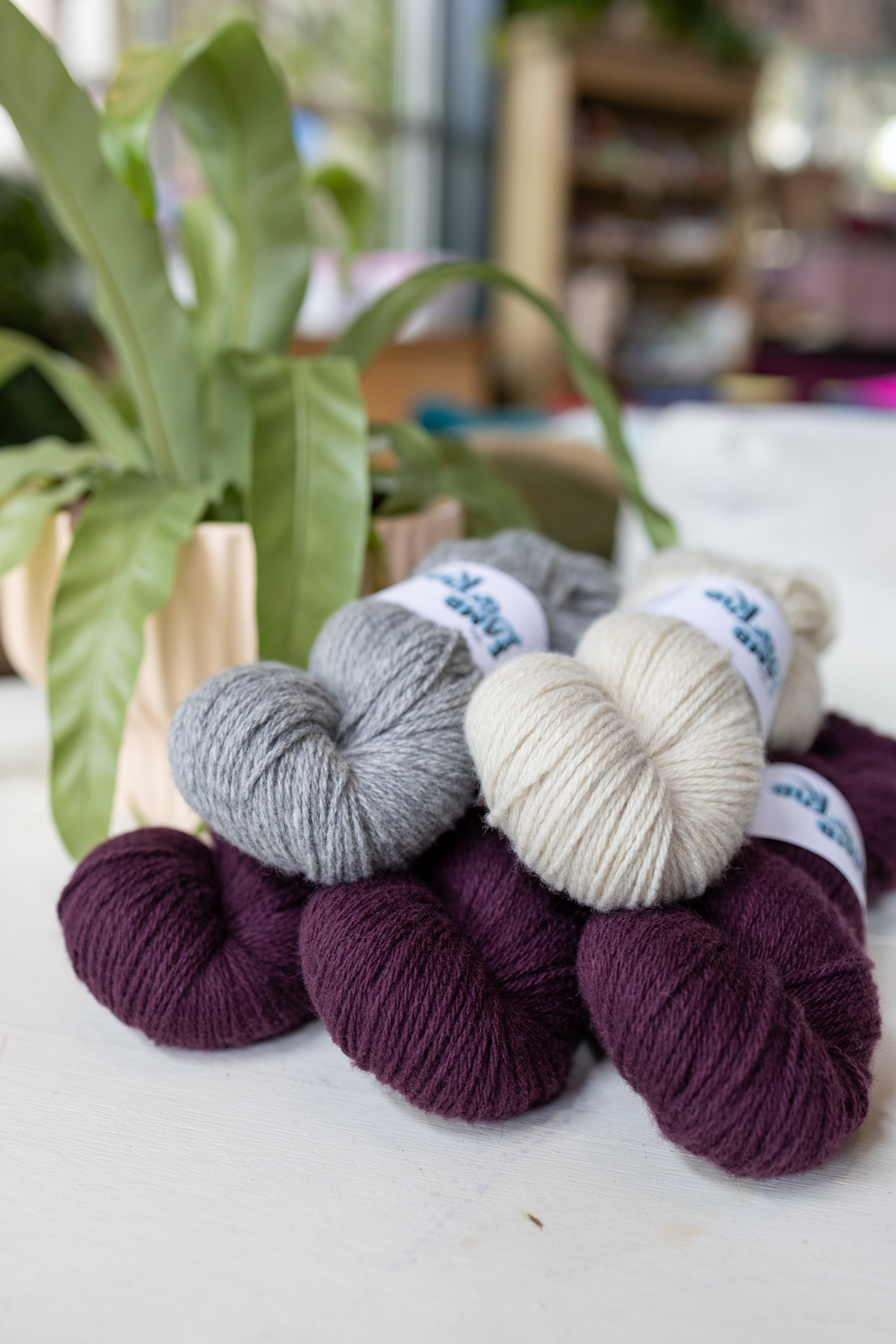 Norma Sweater Kits