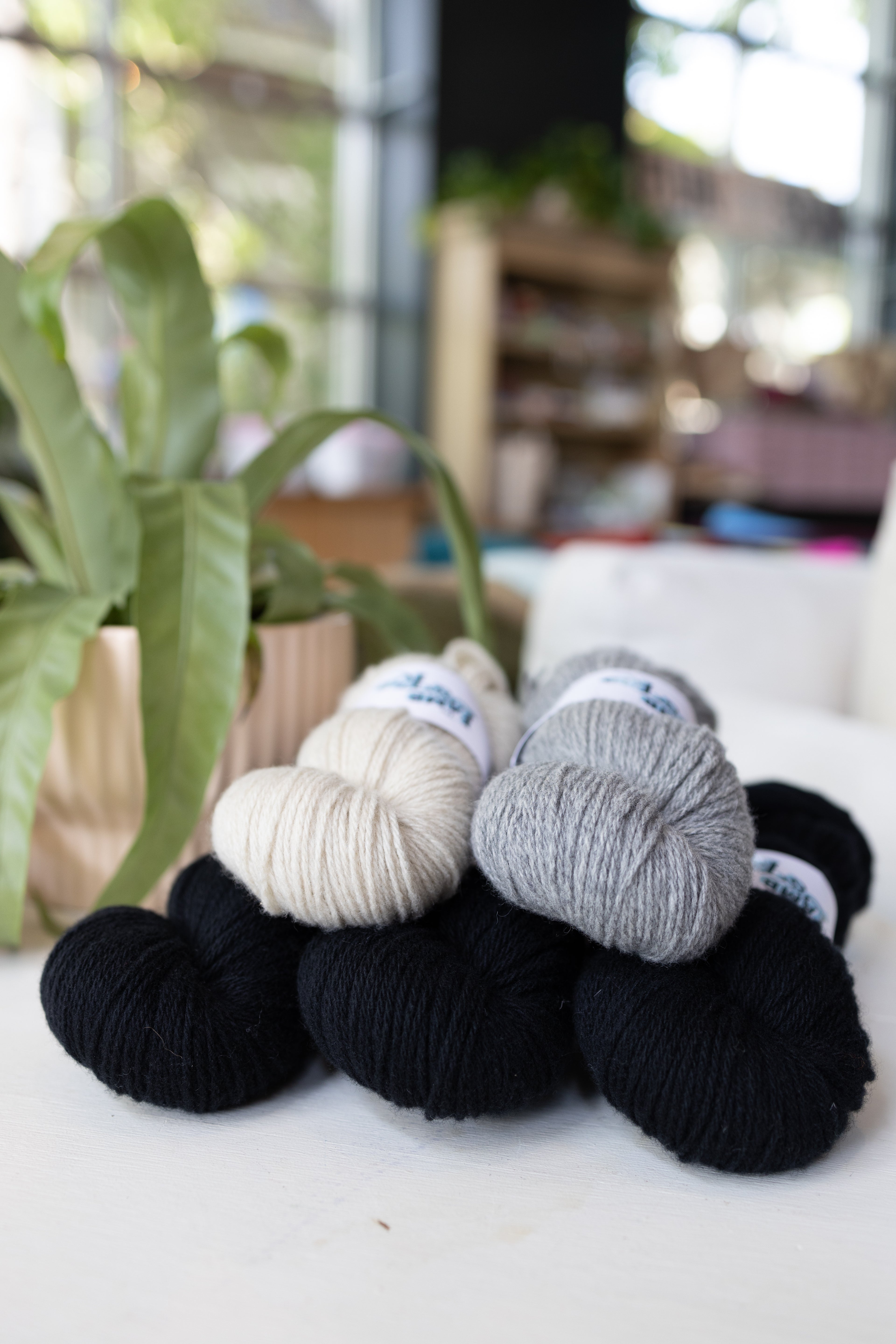 Norma Sweater Kits