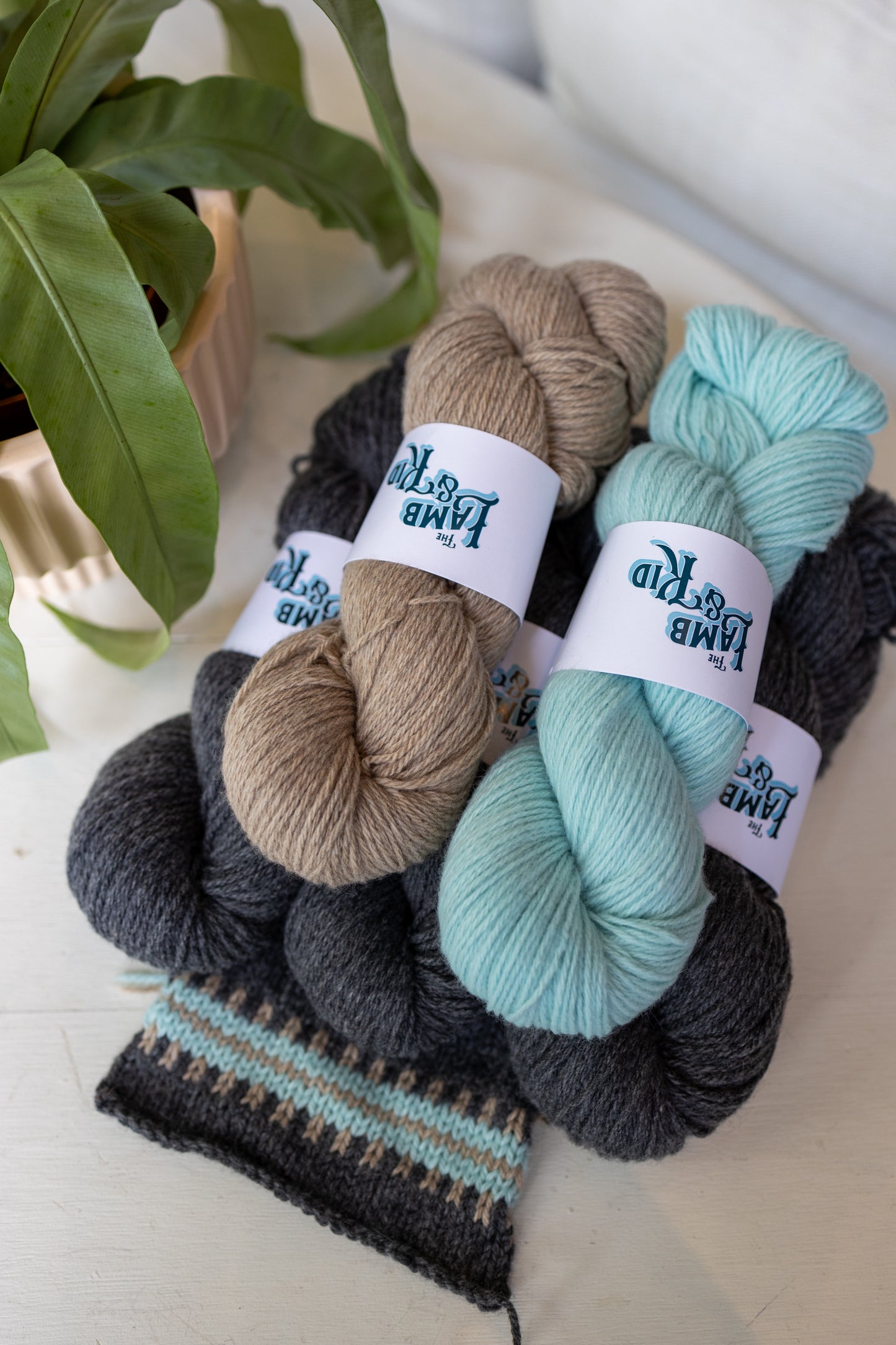 Kits de suéter Norma