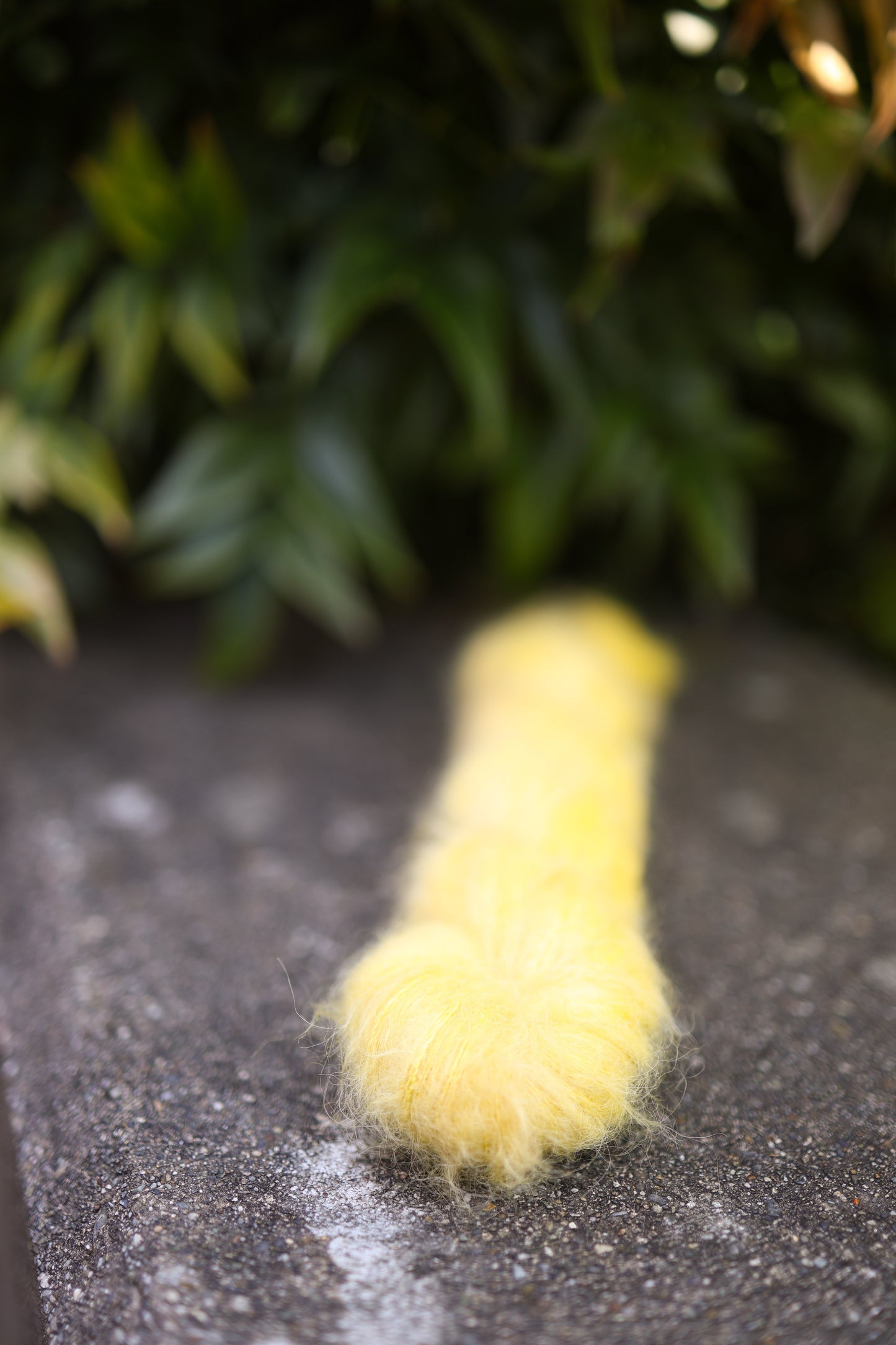 5/2 Dyed-to-Order