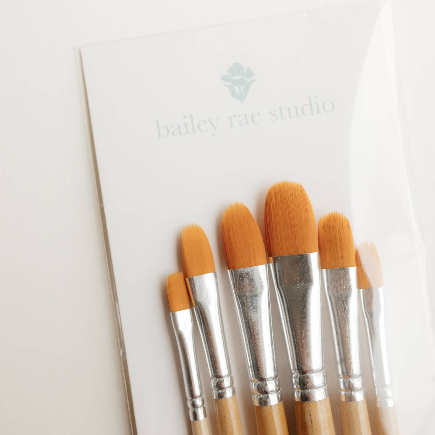 Filbert Watercolor Brush Set