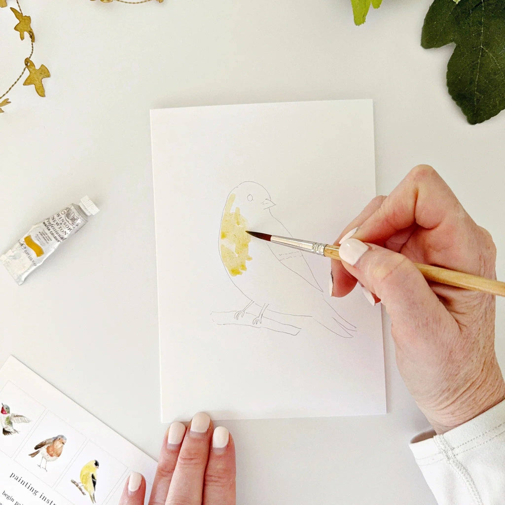 Emily Lex Birds Paintable Watercolor Notecard Set