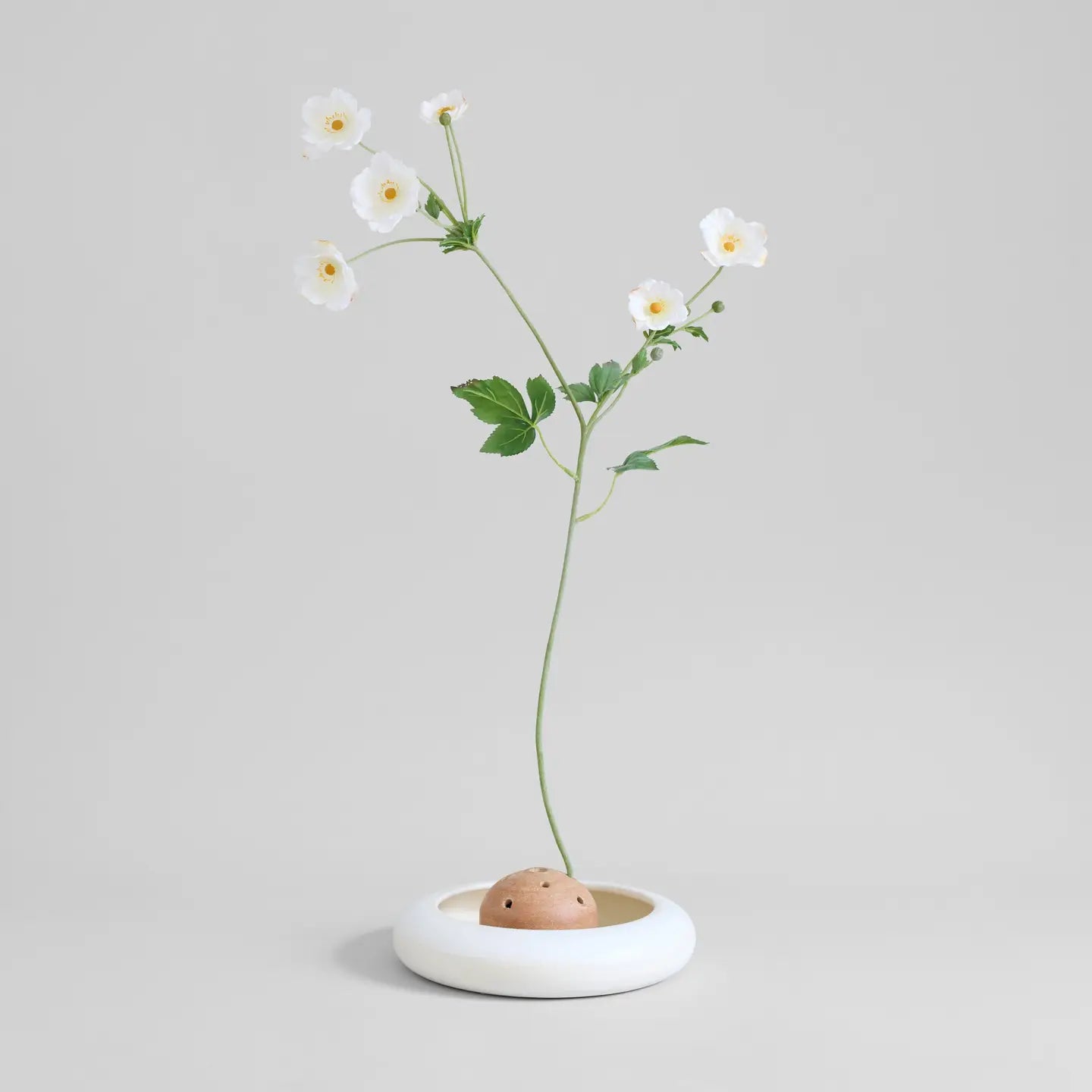 Terra Cotta Frog Vase