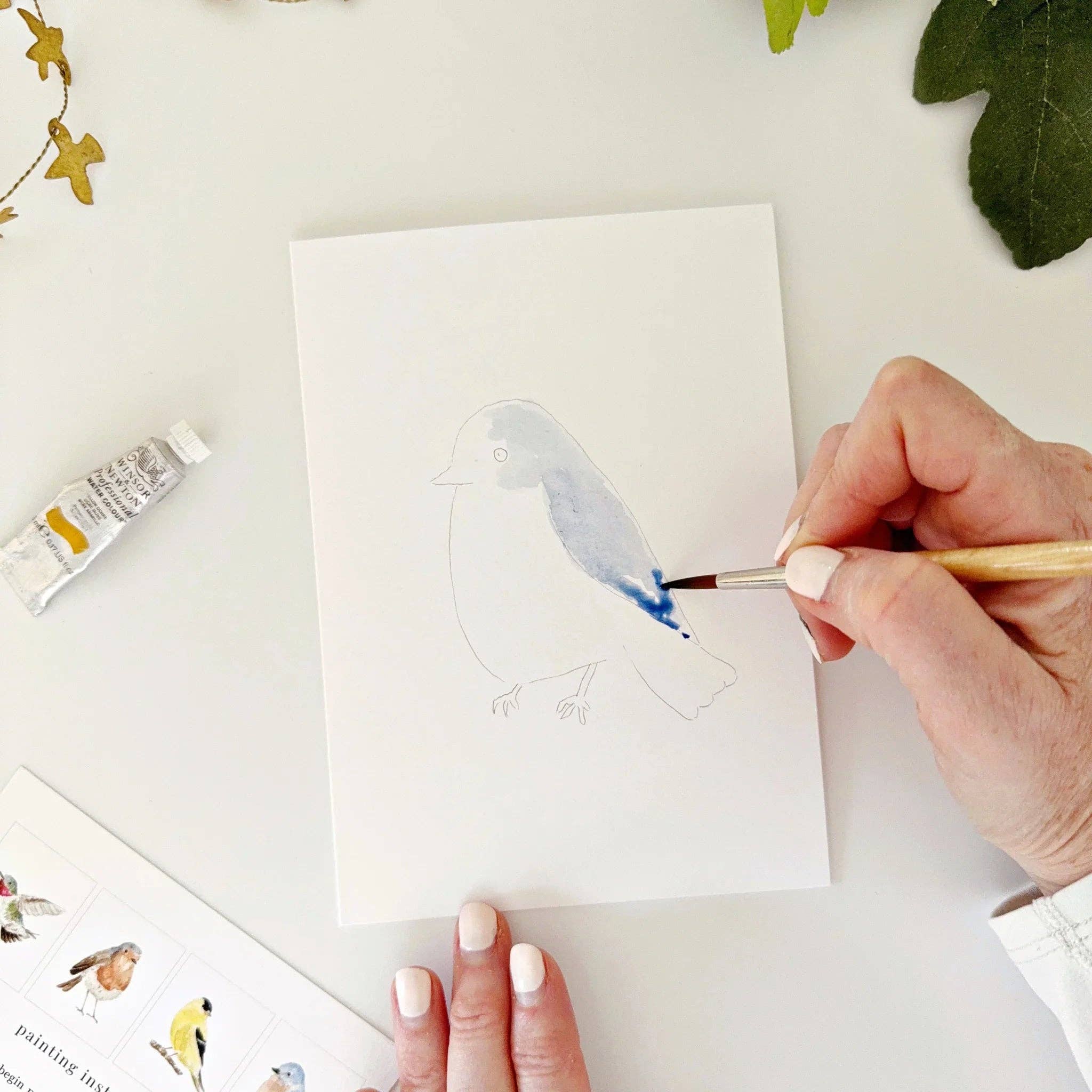 Emily Lex Birds Paintable Watercolor Notecard Set