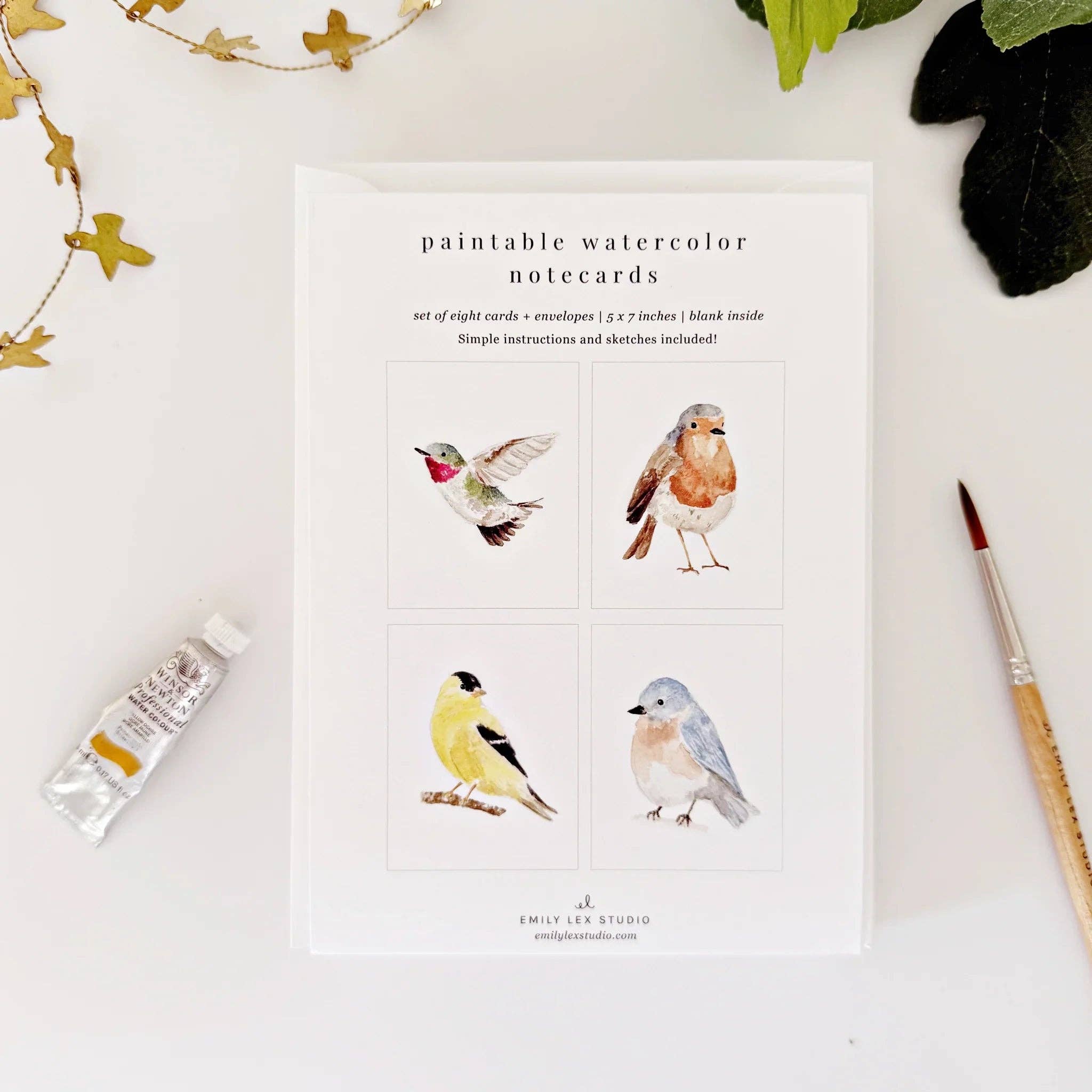 Emily Lex Birds Paintable Watercolor Notecard Set