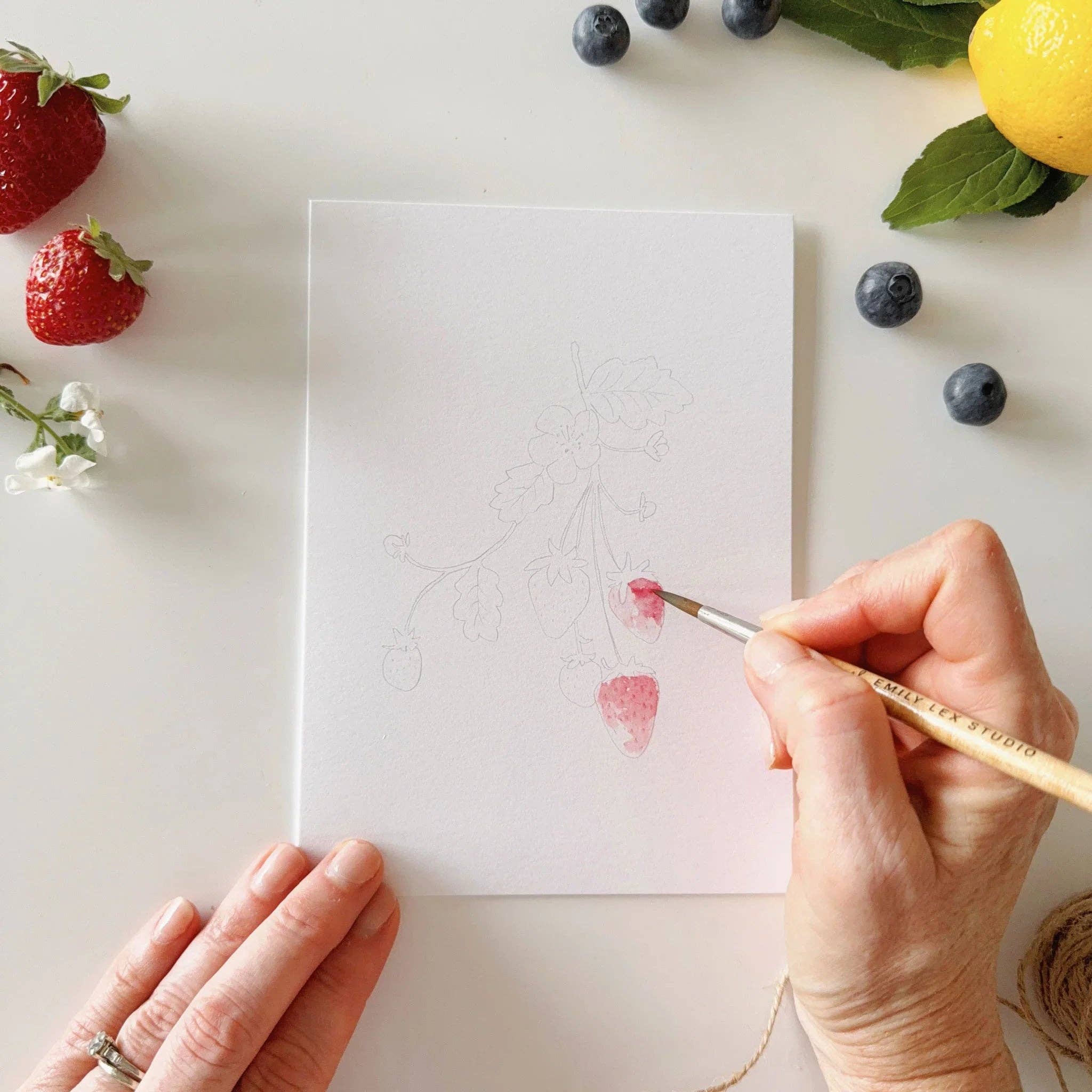 Emily Lex Fruit Paintable Watercolor Notecard Set