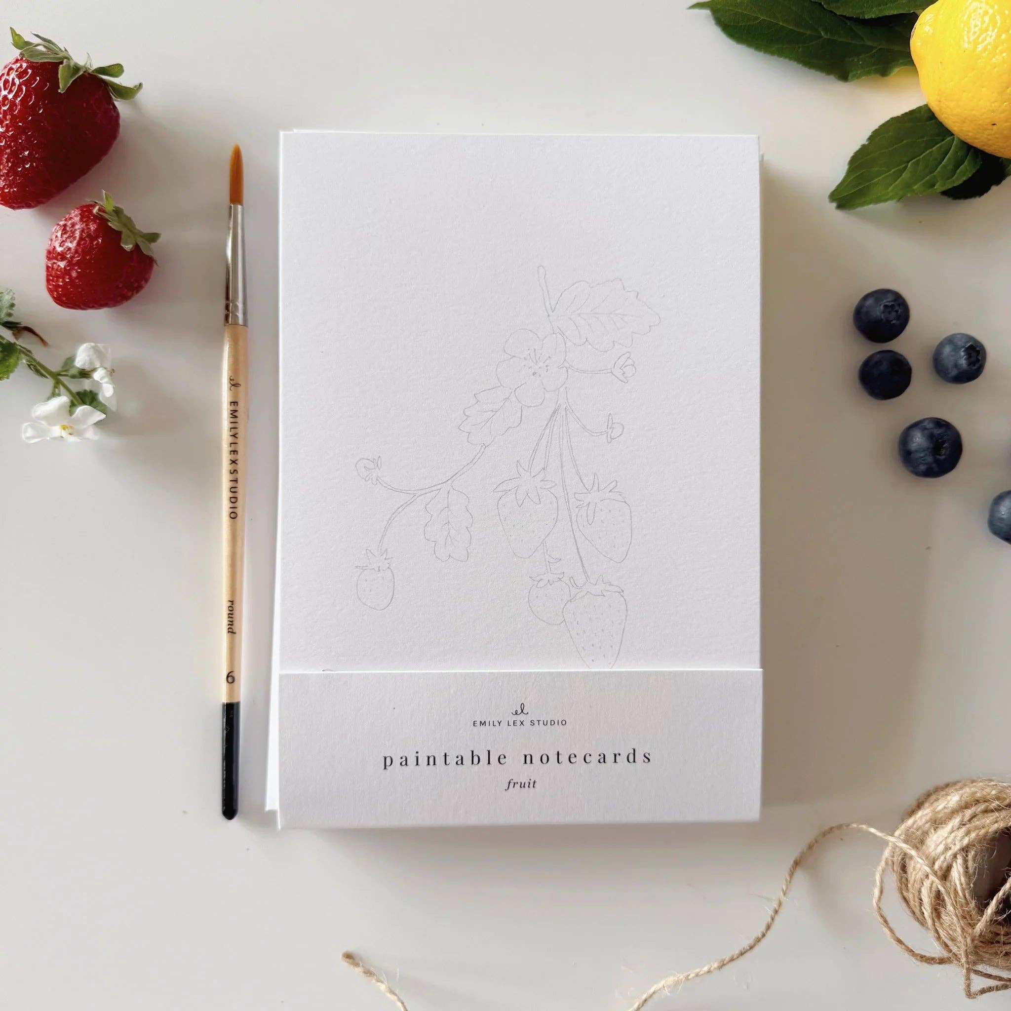 Emily Lex Fruit Paintable Watercolor Notecard Set