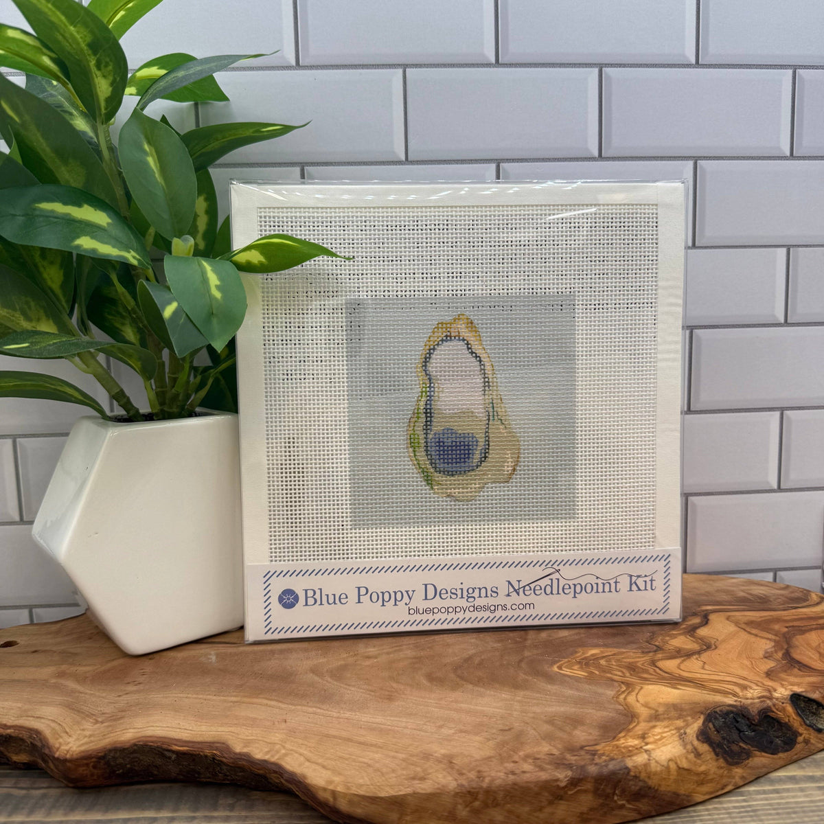 Oyster Needlepoint Design