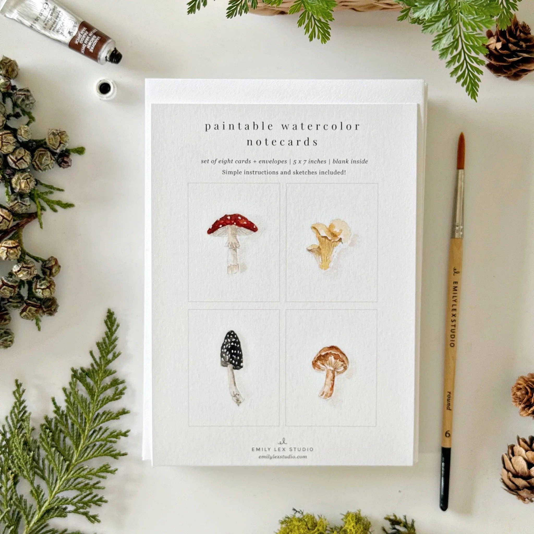 Emily Lex Mushrooms Paintable Watercolor Notecard Set
