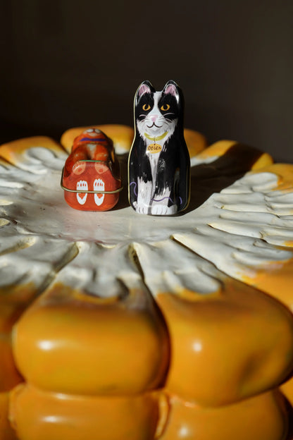 Lata de gato naranja - Marcadores de punto