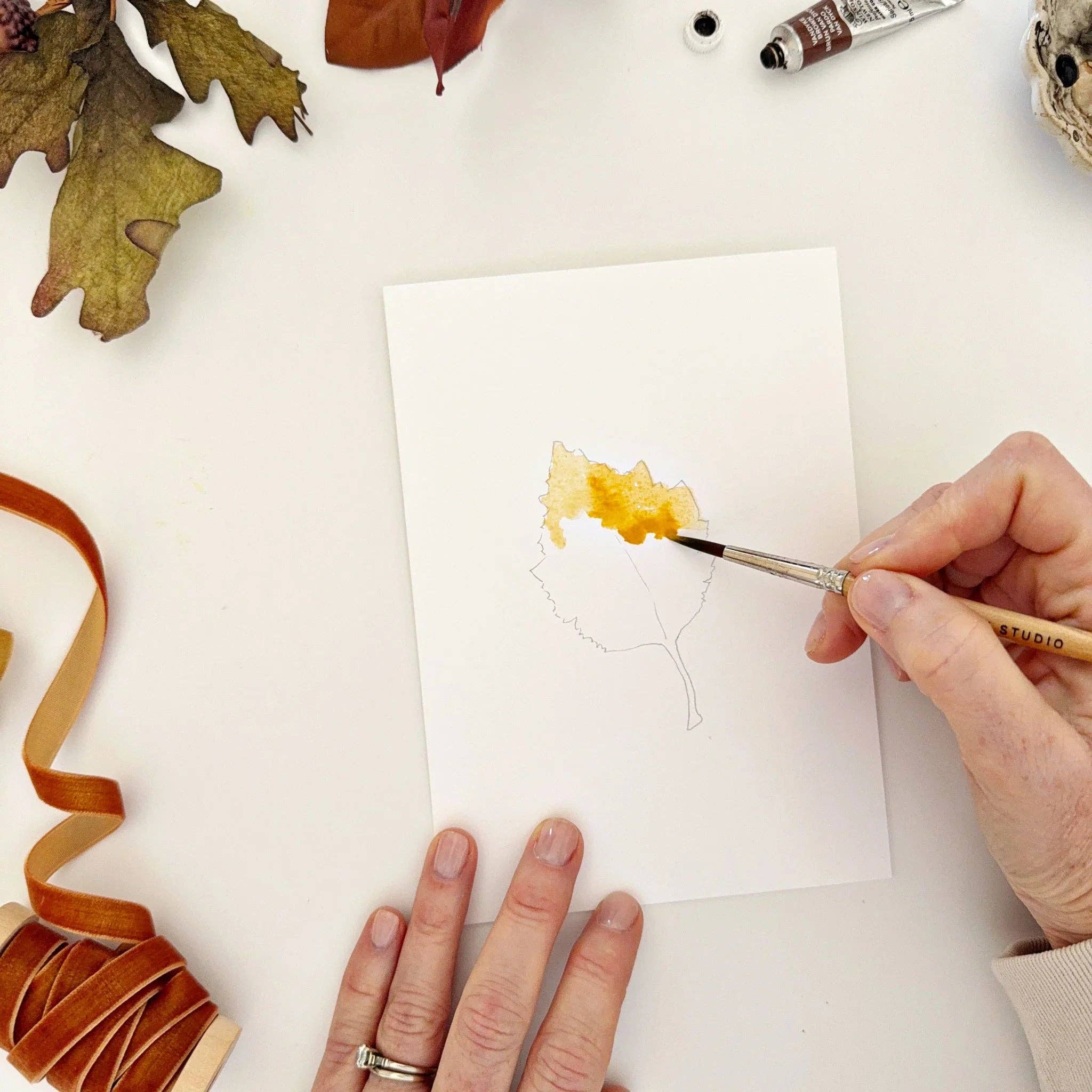 Emily Lex Fall Leaves Paintable Watercolor Notecard Set