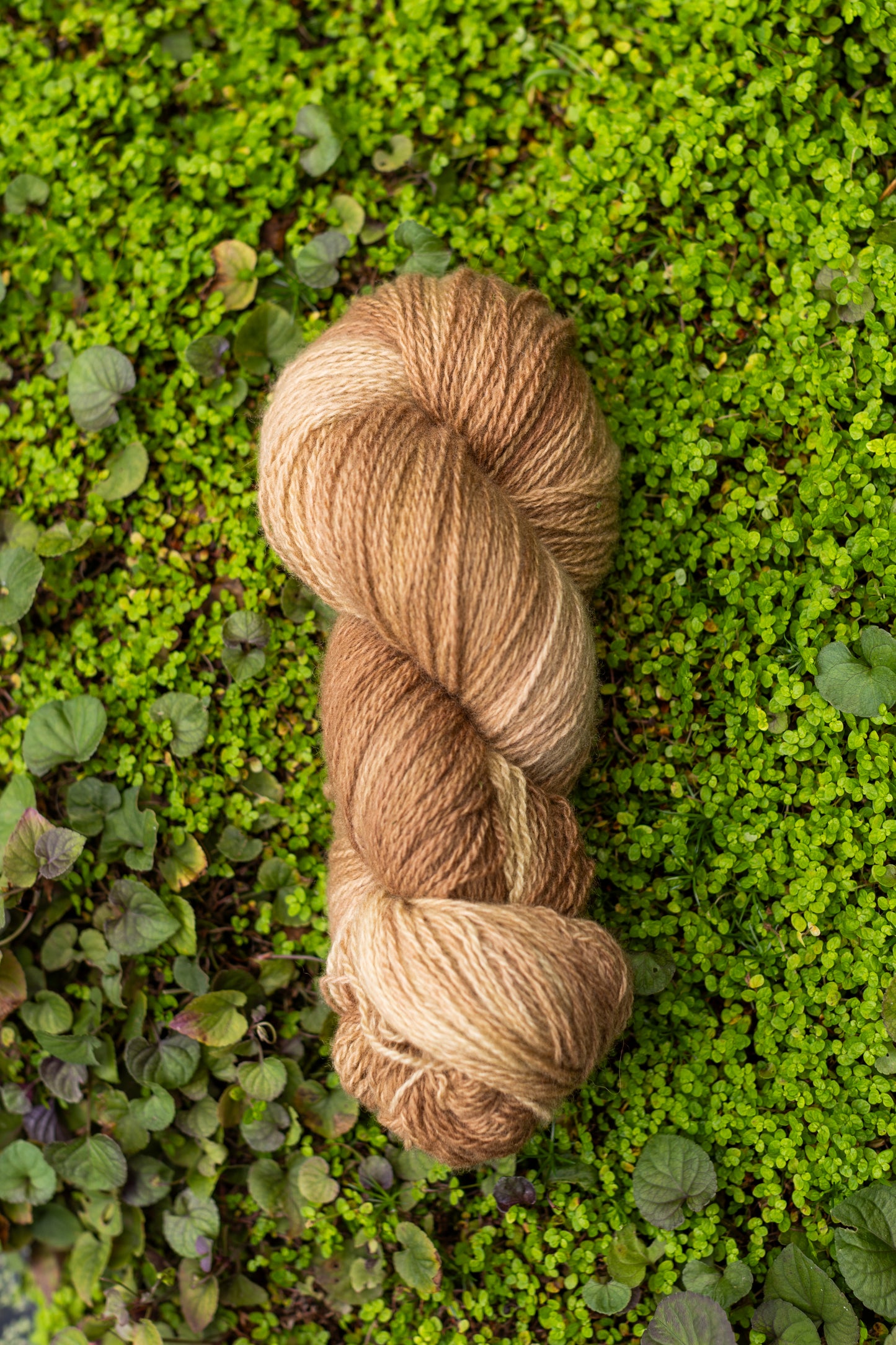 9/26 Dyed-to-Order