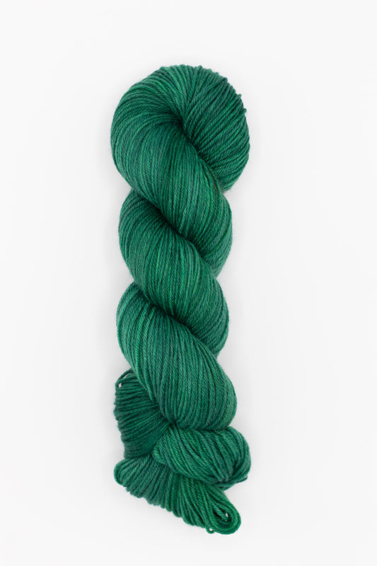 Trio DK - forage