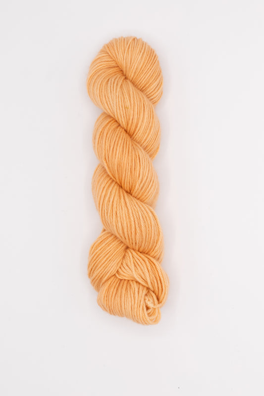 Tod - ginger peachy