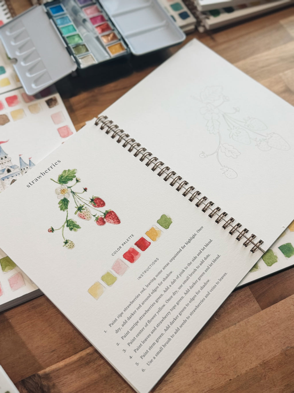Livres d'aquarelle d'Emily Lex