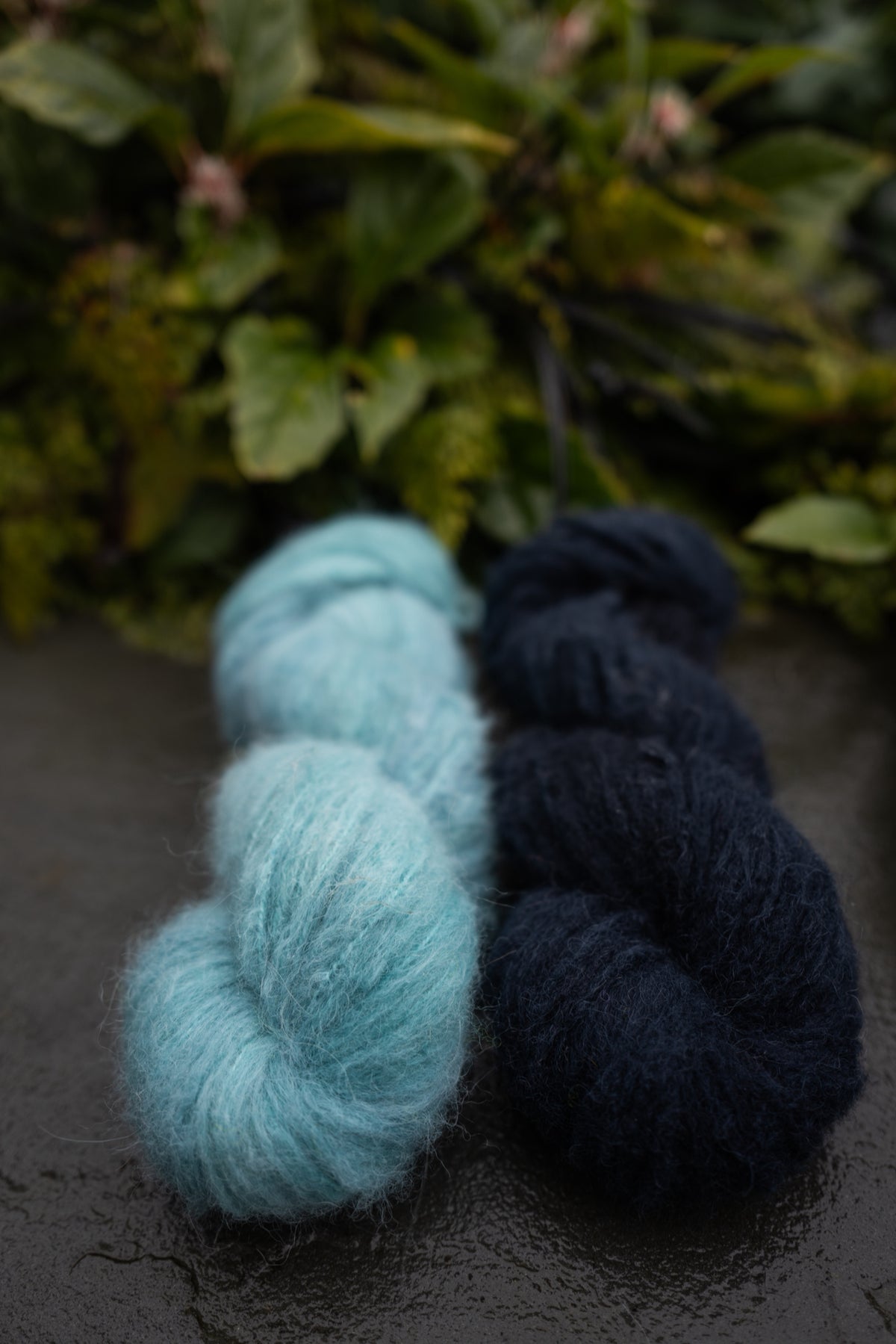 Rosie Yoke Sweater Kits