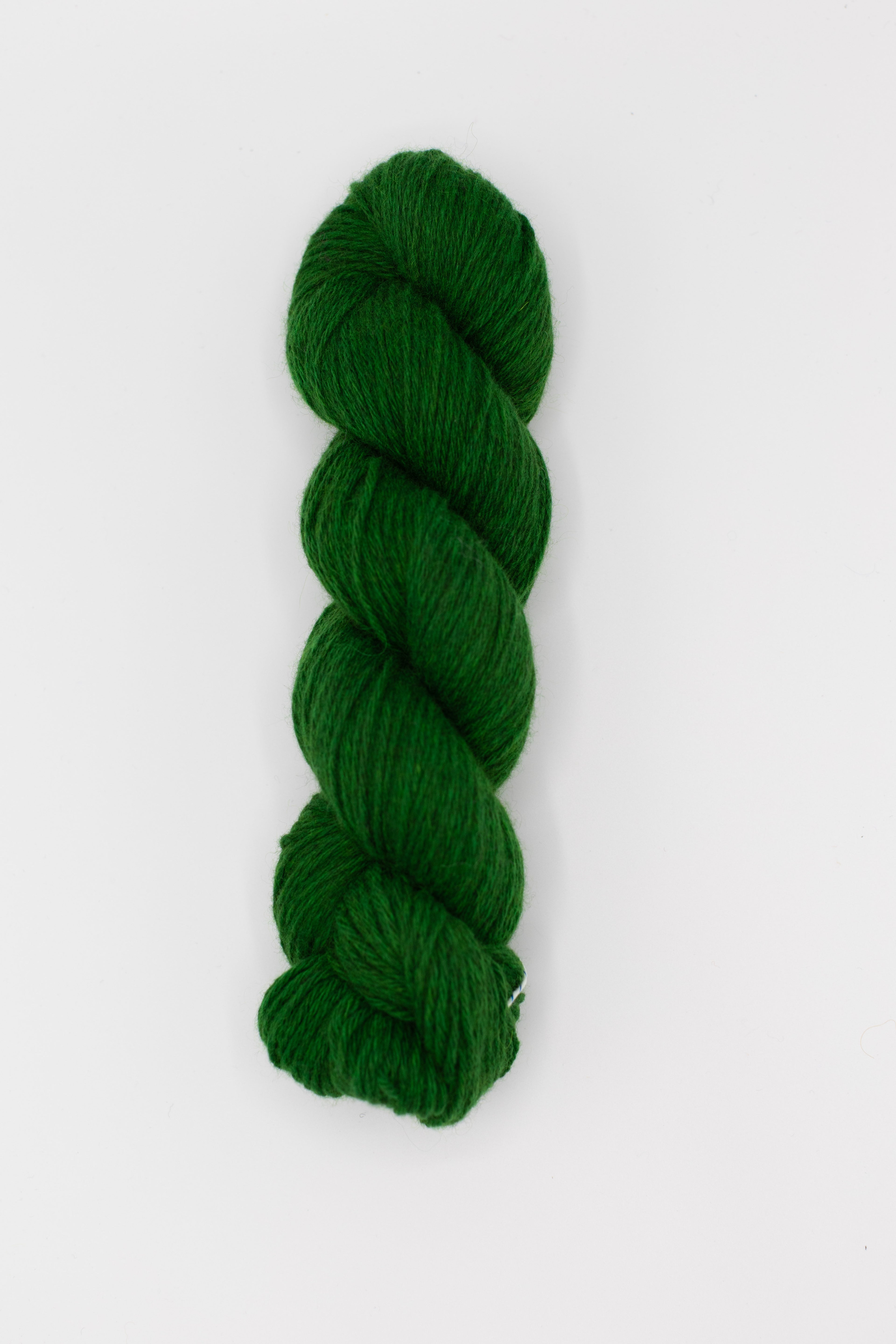 Percy - jolly green (overdyed on overcast)