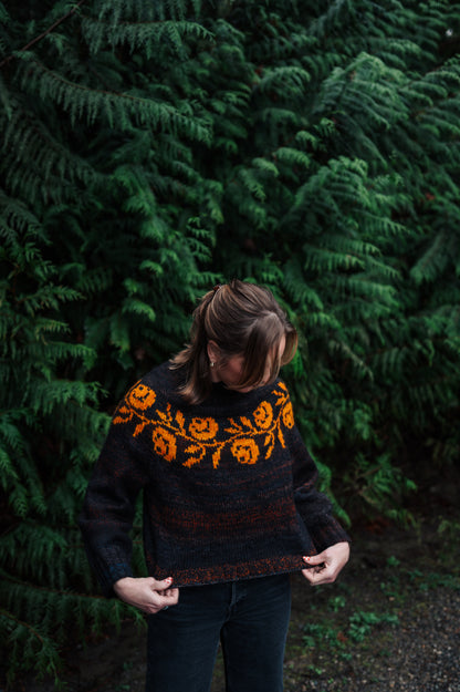 Rosie Yoke Sweater Kits