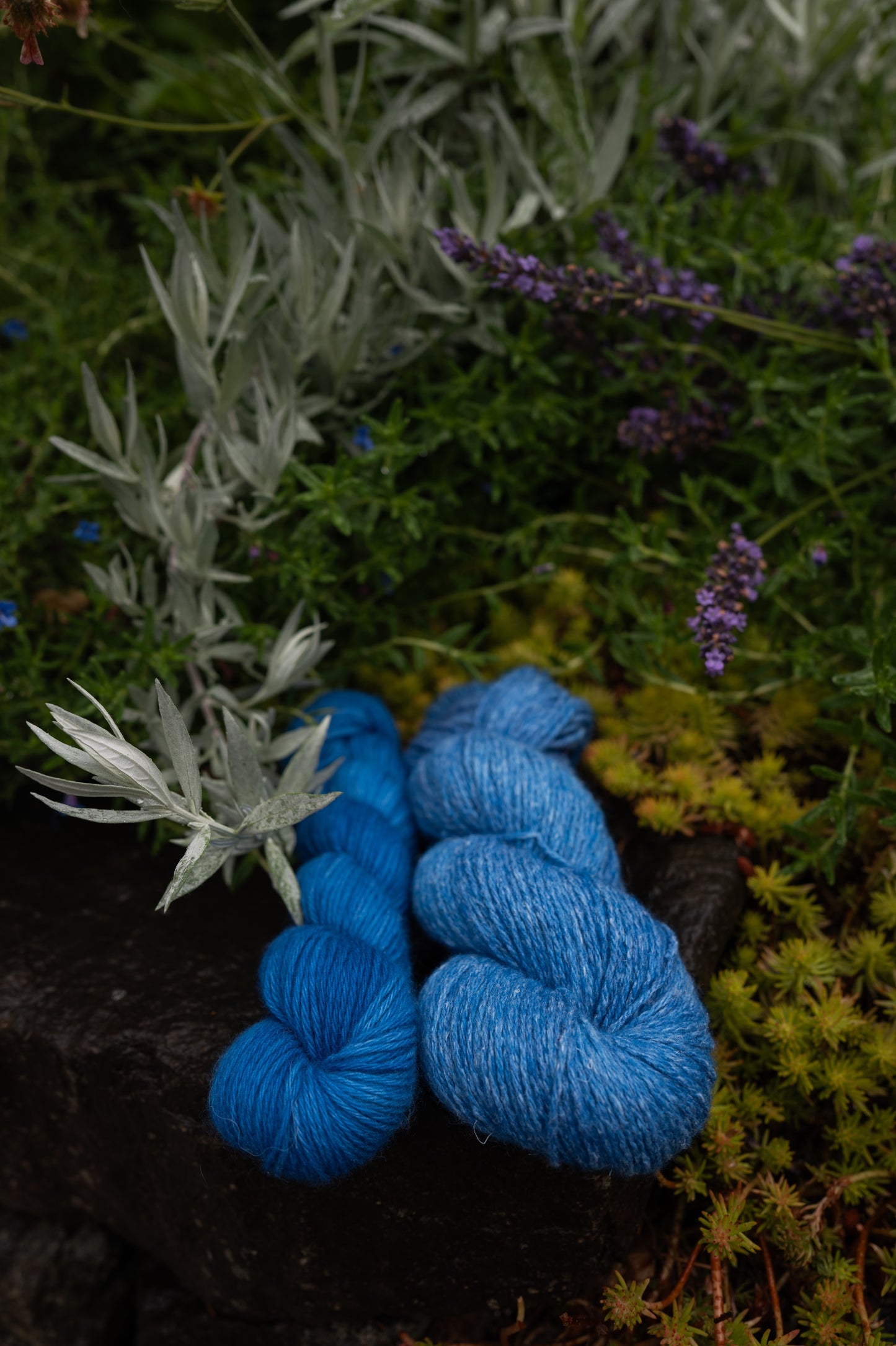 Shoreline Vest Kits