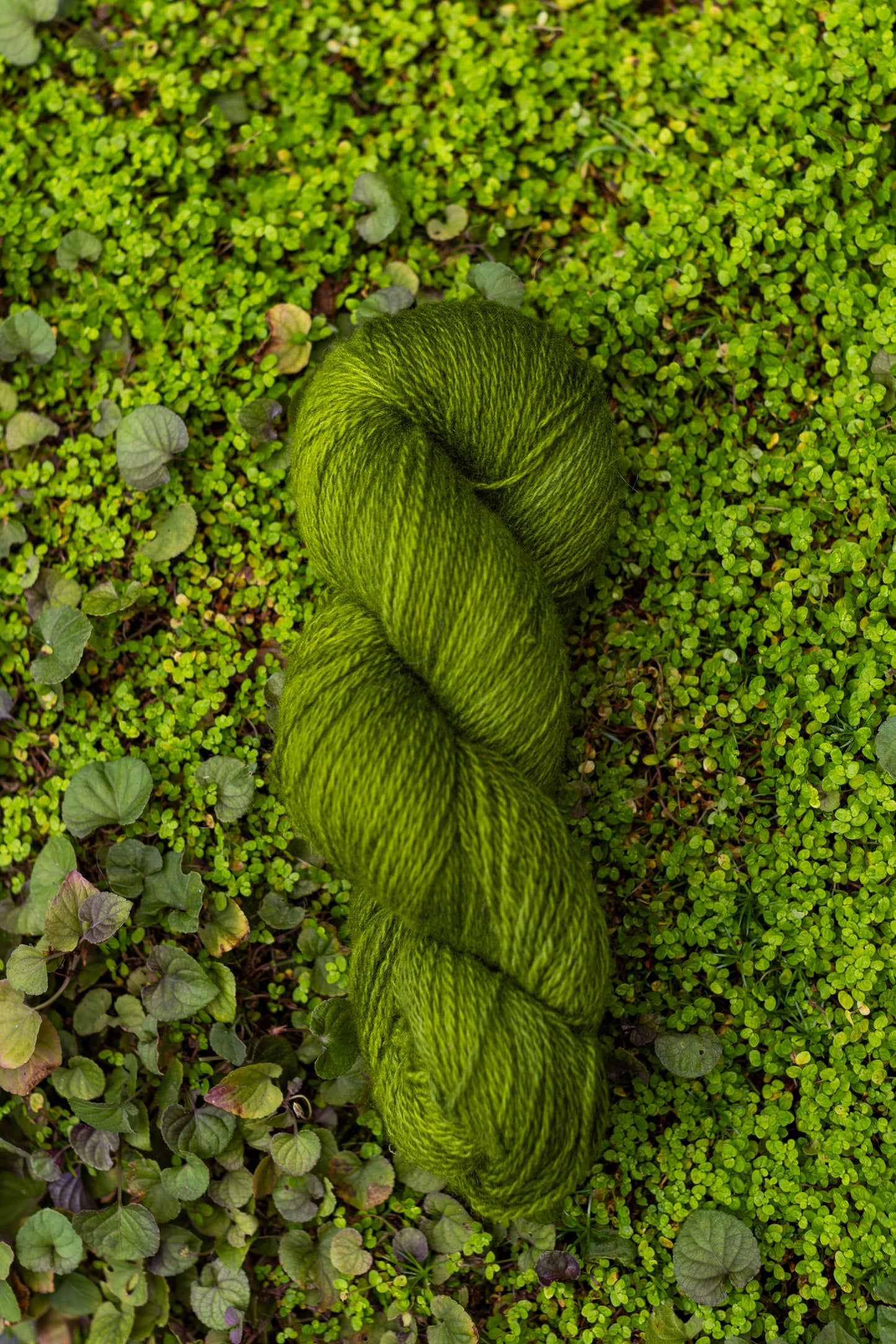 9/26 Dyed-to-Order