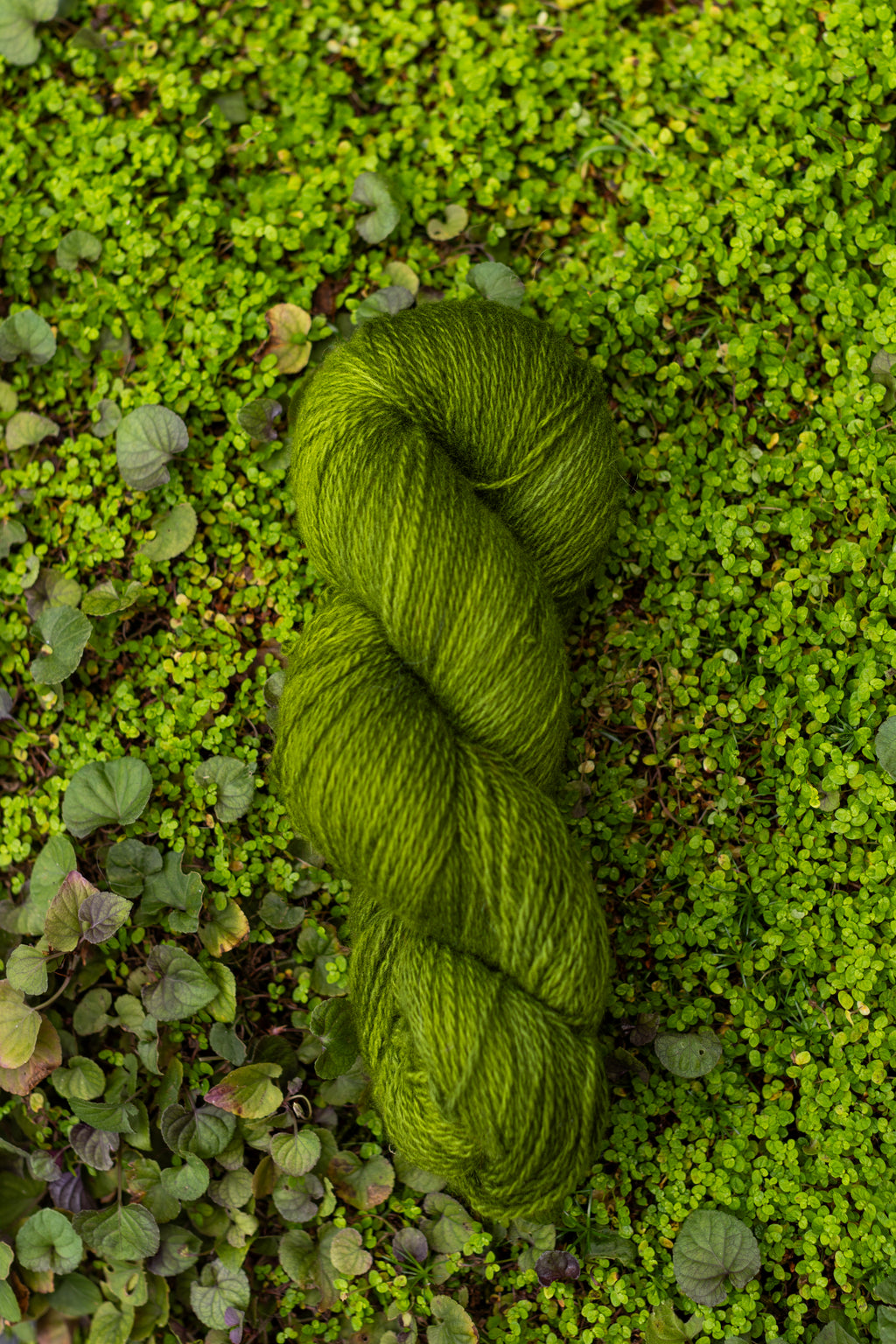 Crumpet Cardigan Kits