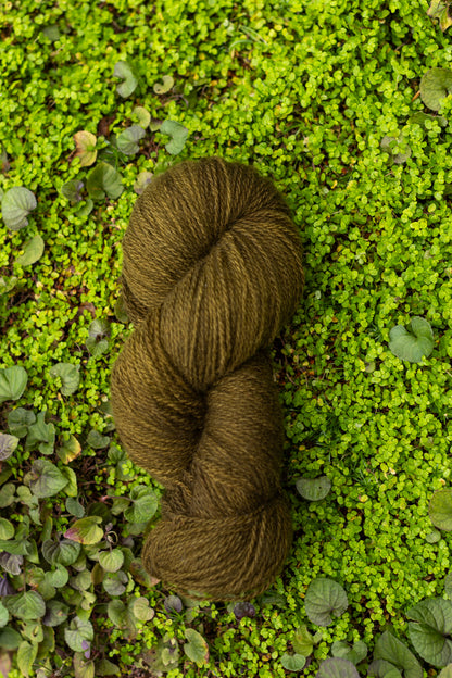 Crumpet Cardigan Kits