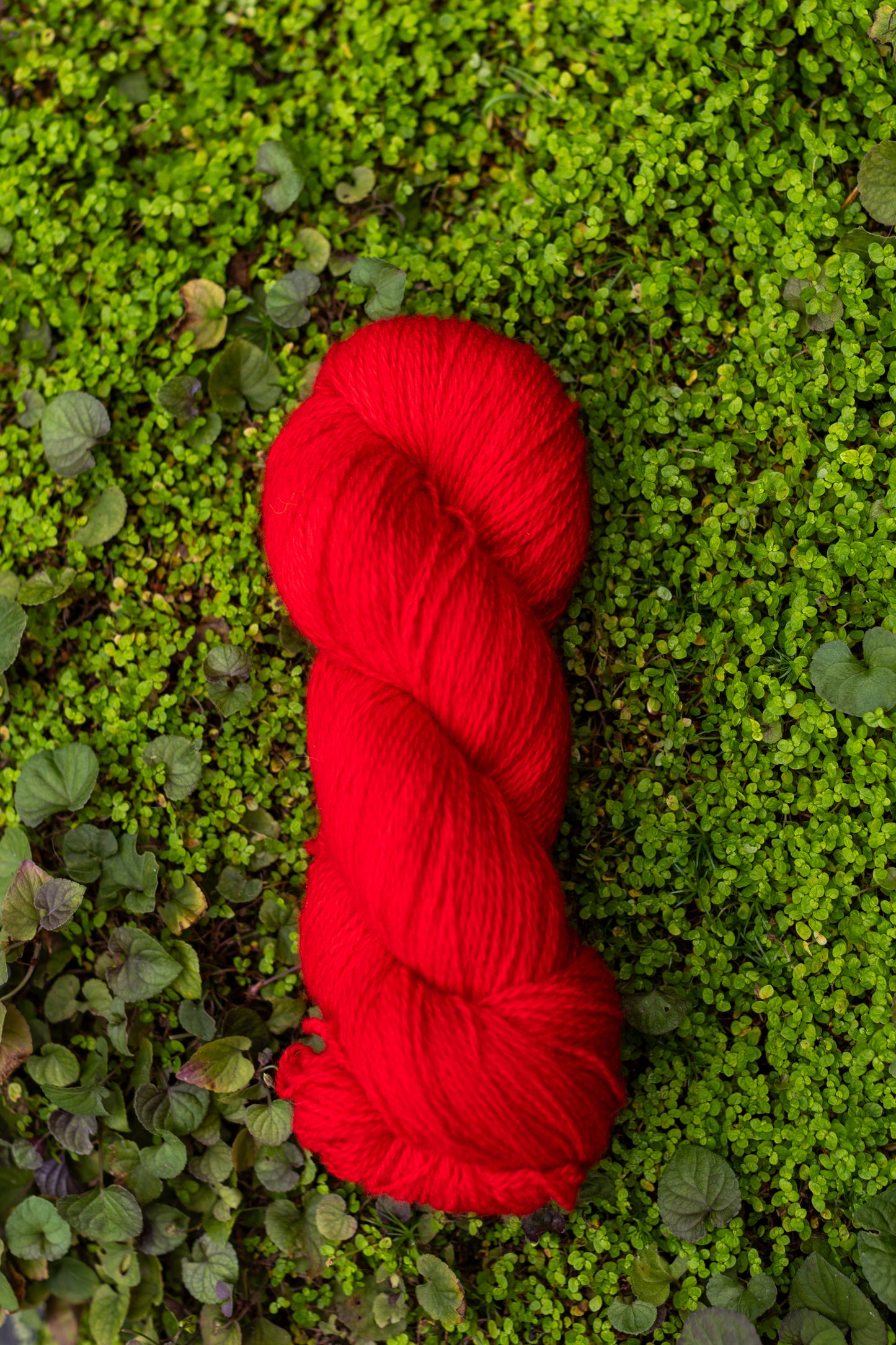 9/26 Dyed-to-Order