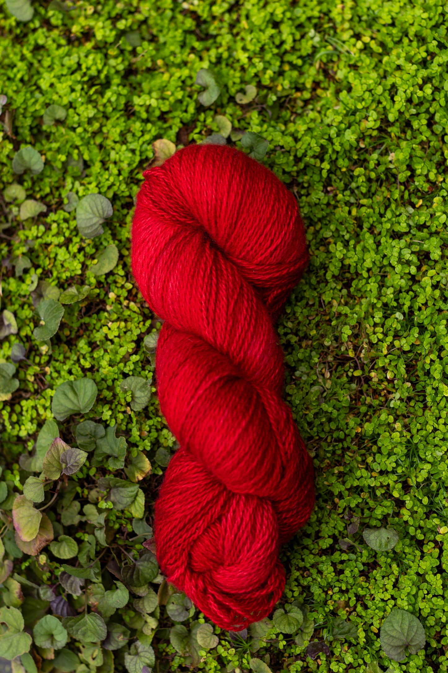 Crumpet Cardigan Kits