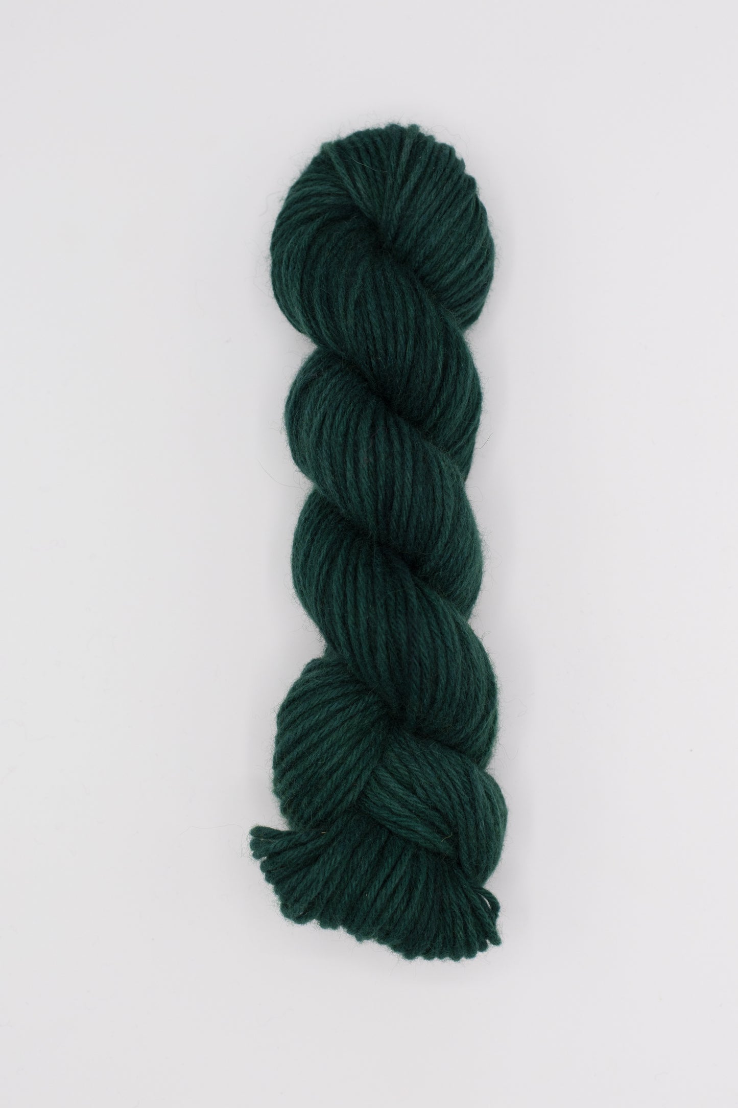 Tod Worsted - scout
