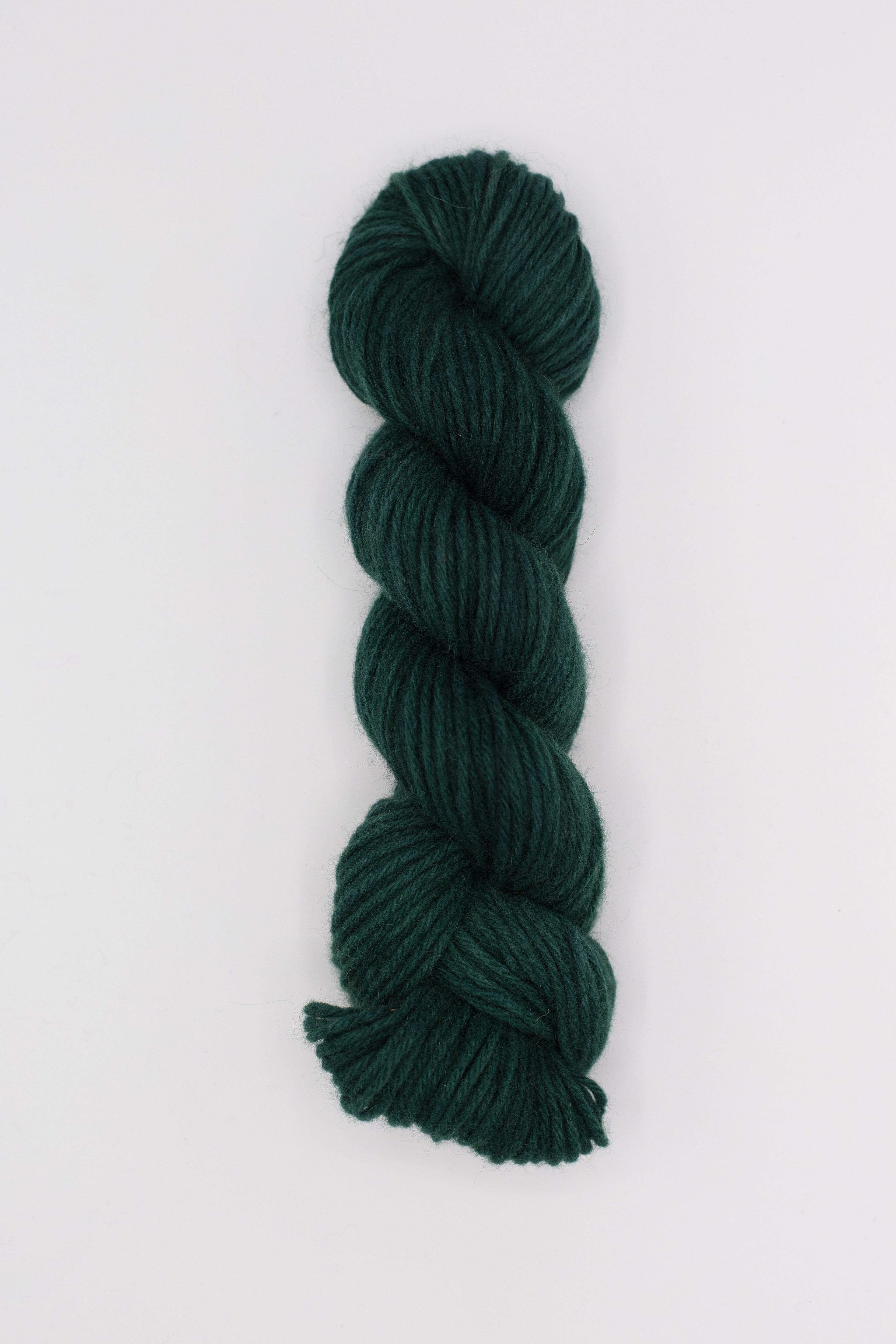 Tod Worsted - scout