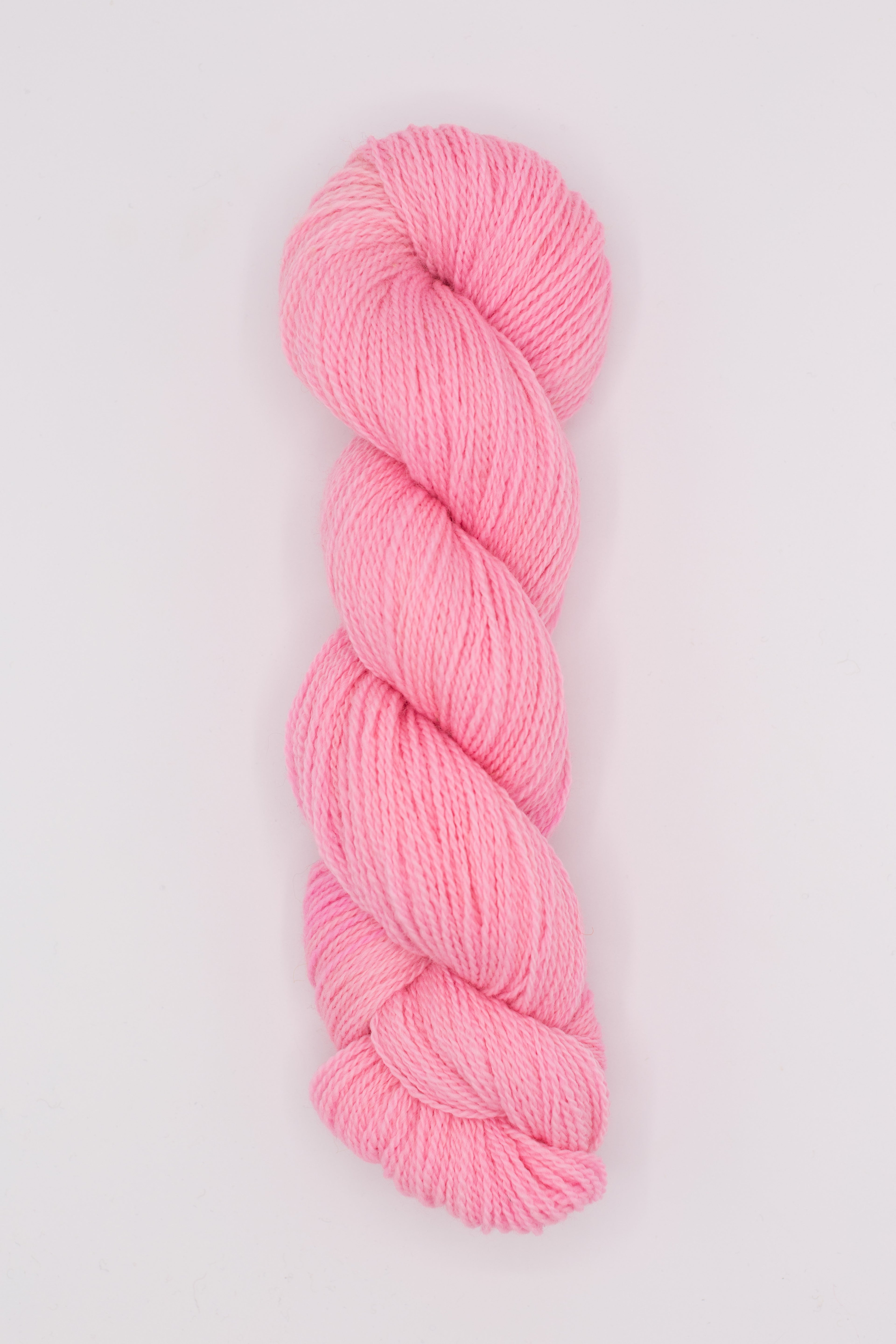 Shed - taffy