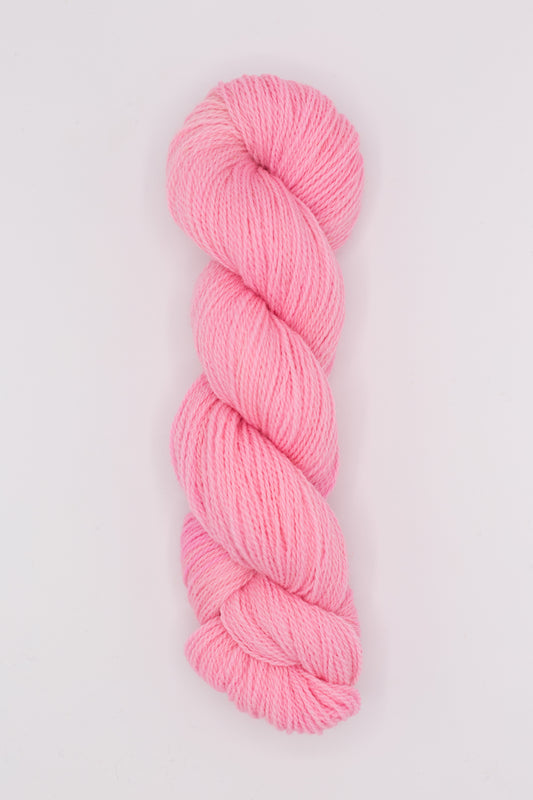 Shed - taffy