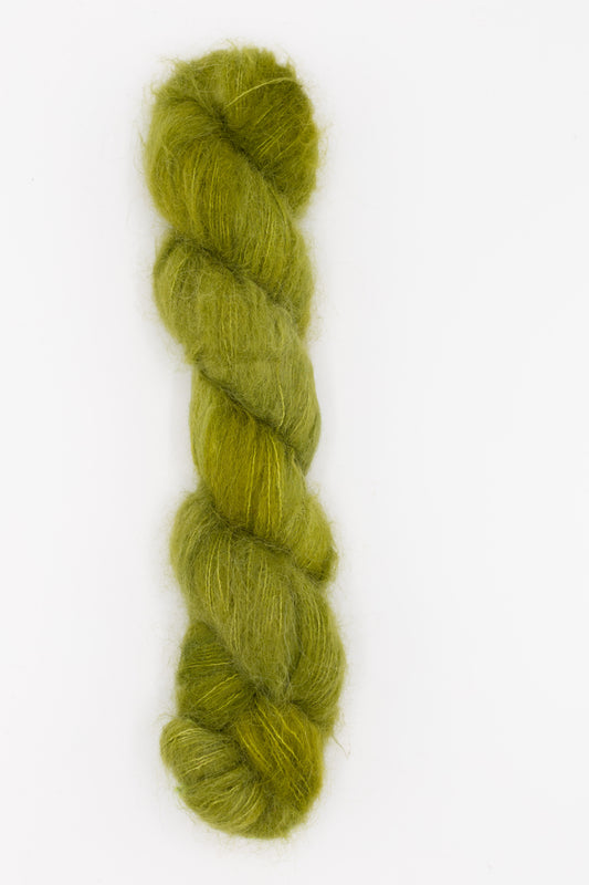 Birdie - tiny boxwoods